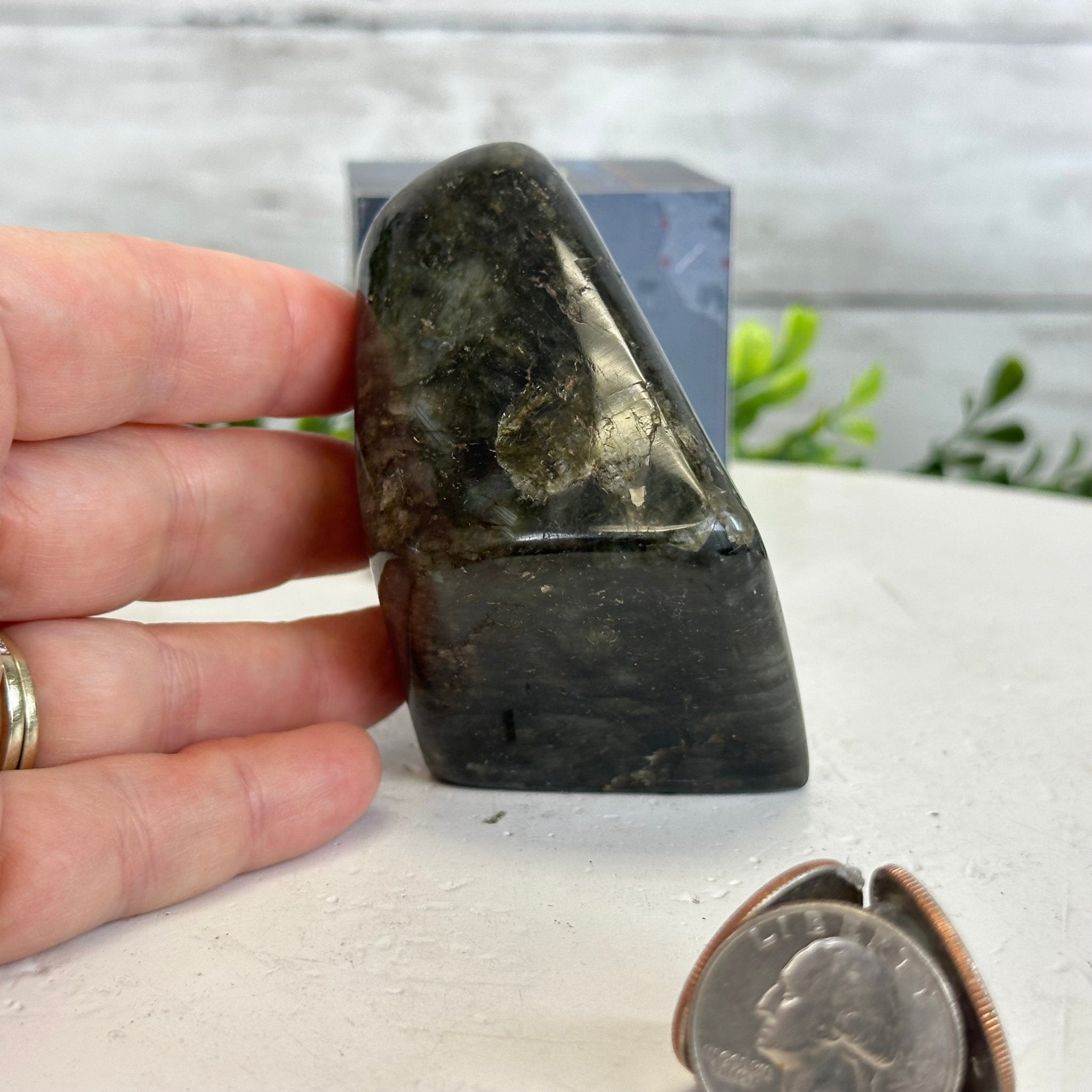 Polished Freeform Labradorite Gemstone, 1.1 lbs & 3.25” Tall #3301LB - 005 - Brazil GemsBrazil GemsPolished Freeform Labradorite Gemstone, 1.1 lbs & 3.25” Tall #3301LB - 005Freeform & Unique Shapes3301LB - 005
