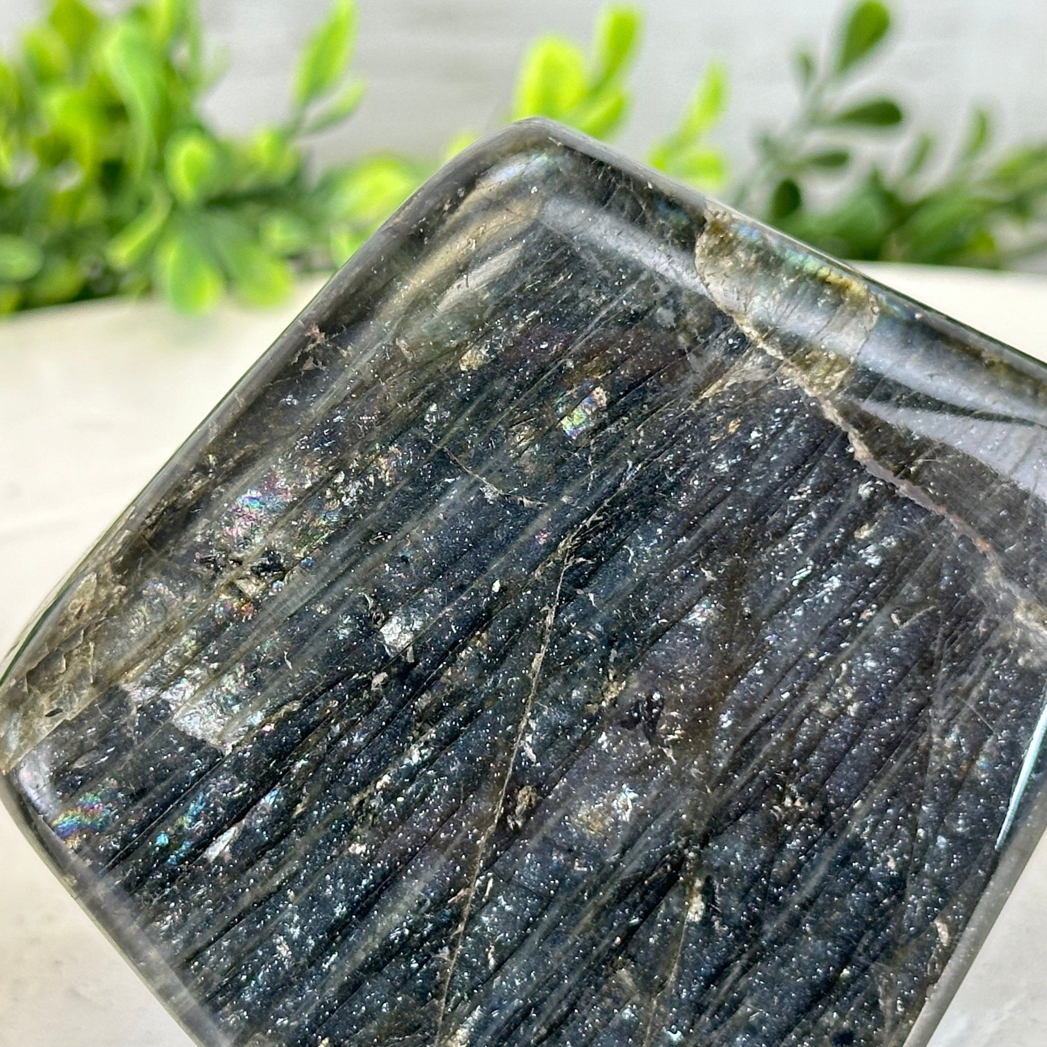 Polished Freeform Labradorite Gemstone, 1.1 lbs & 3.25” Tall #3301LB - 005 - Brazil GemsBrazil GemsPolished Freeform Labradorite Gemstone, 1.1 lbs & 3.25” Tall #3301LB - 005Freeform & Unique Shapes3301LB - 005