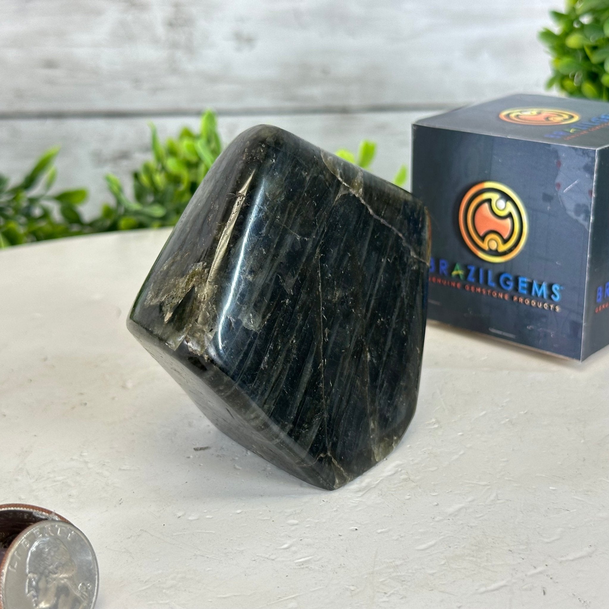 Polished Freeform Labradorite Gemstone, 1.1 lbs & 3.25” Tall #3301LB - 005 - Brazil GemsBrazil GemsPolished Freeform Labradorite Gemstone, 1.1 lbs & 3.25” Tall #3301LB - 005Freeform & Unique Shapes3301LB - 005