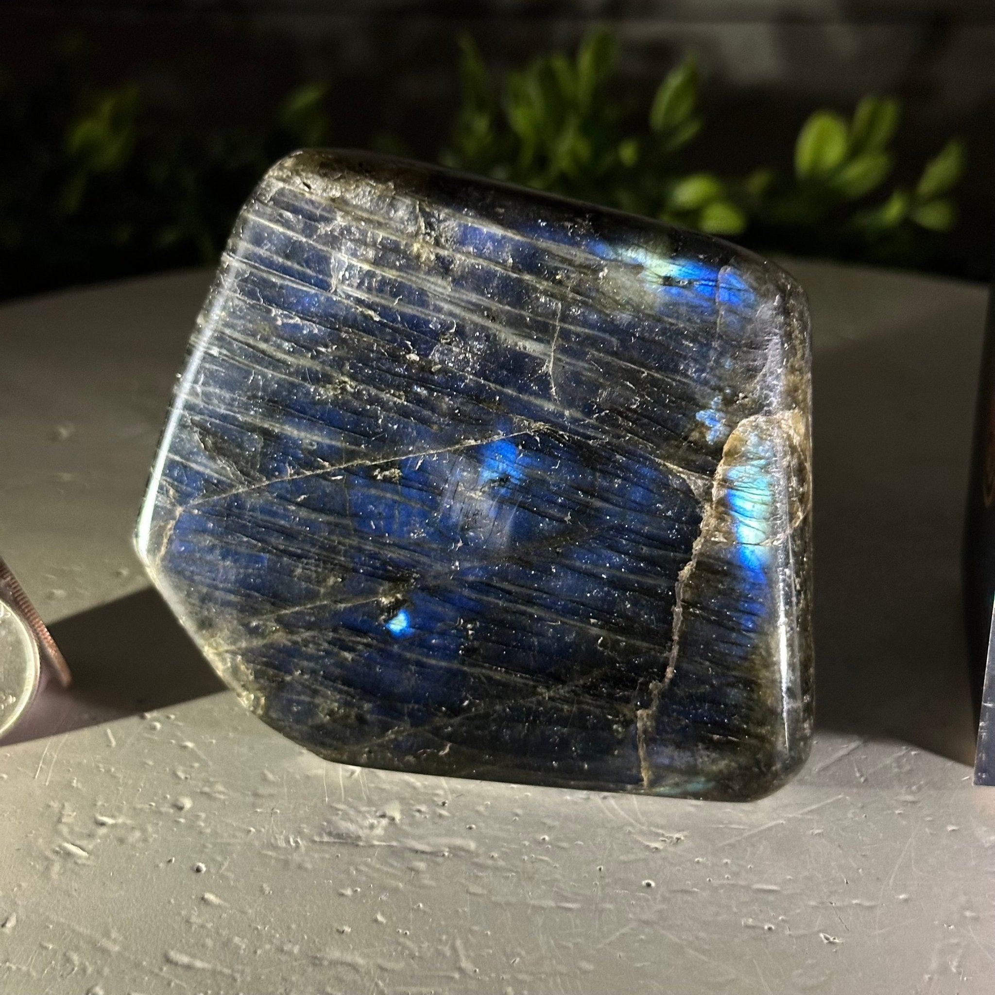 Polished Freeform Labradorite Gemstone, 1.1 lbs & 3.25” Tall #3301LB - 005 - Brazil GemsBrazil GemsPolished Freeform Labradorite Gemstone, 1.1 lbs & 3.25” Tall #3301LB - 005Freeform & Unique Shapes3301LB - 005