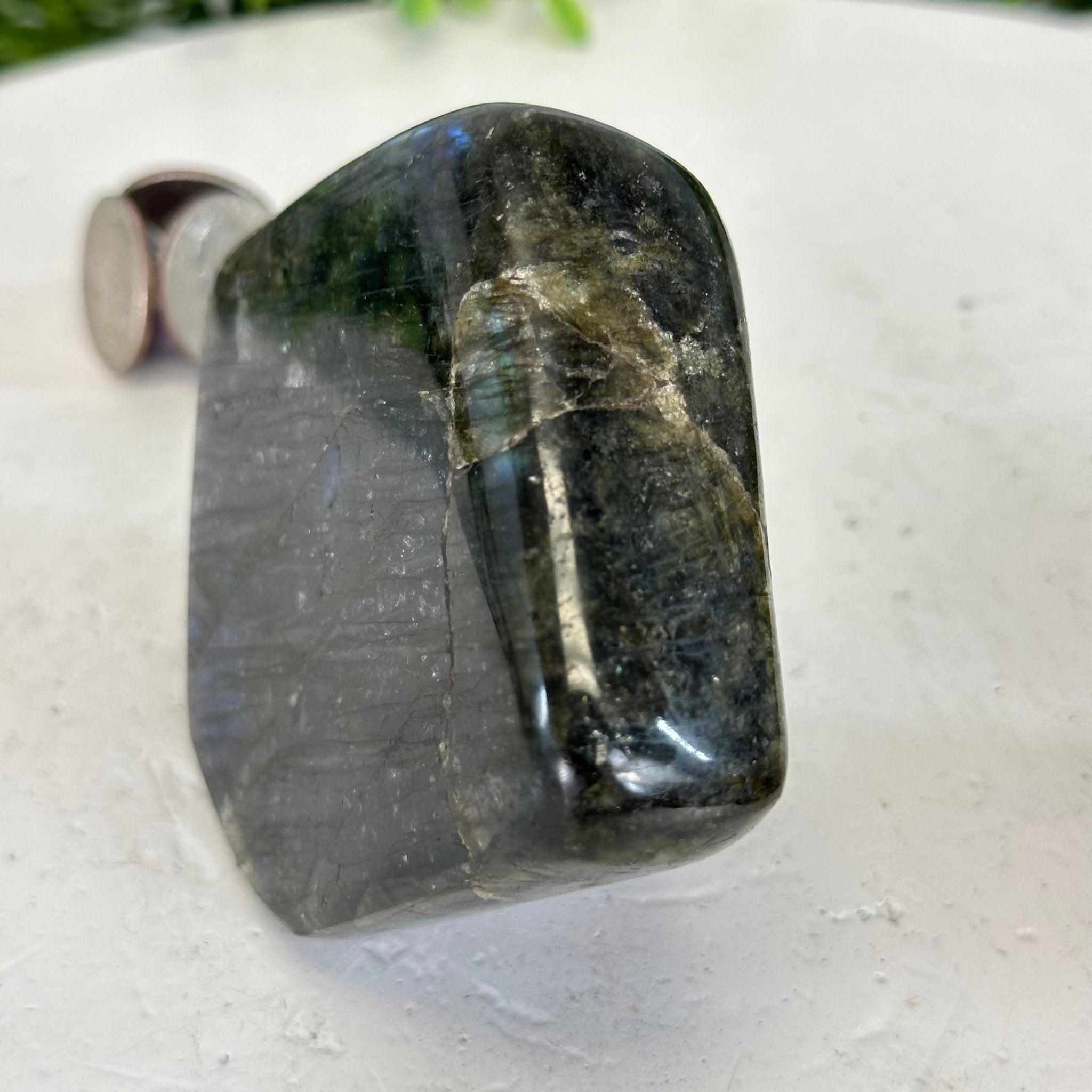 Polished Freeform Labradorite Gemstone, 1.1 lbs & 3.25” Tall #3301LB - 005 - Brazil GemsBrazil GemsPolished Freeform Labradorite Gemstone, 1.1 lbs & 3.25” Tall #3301LB - 005Freeform & Unique Shapes3301LB - 005
