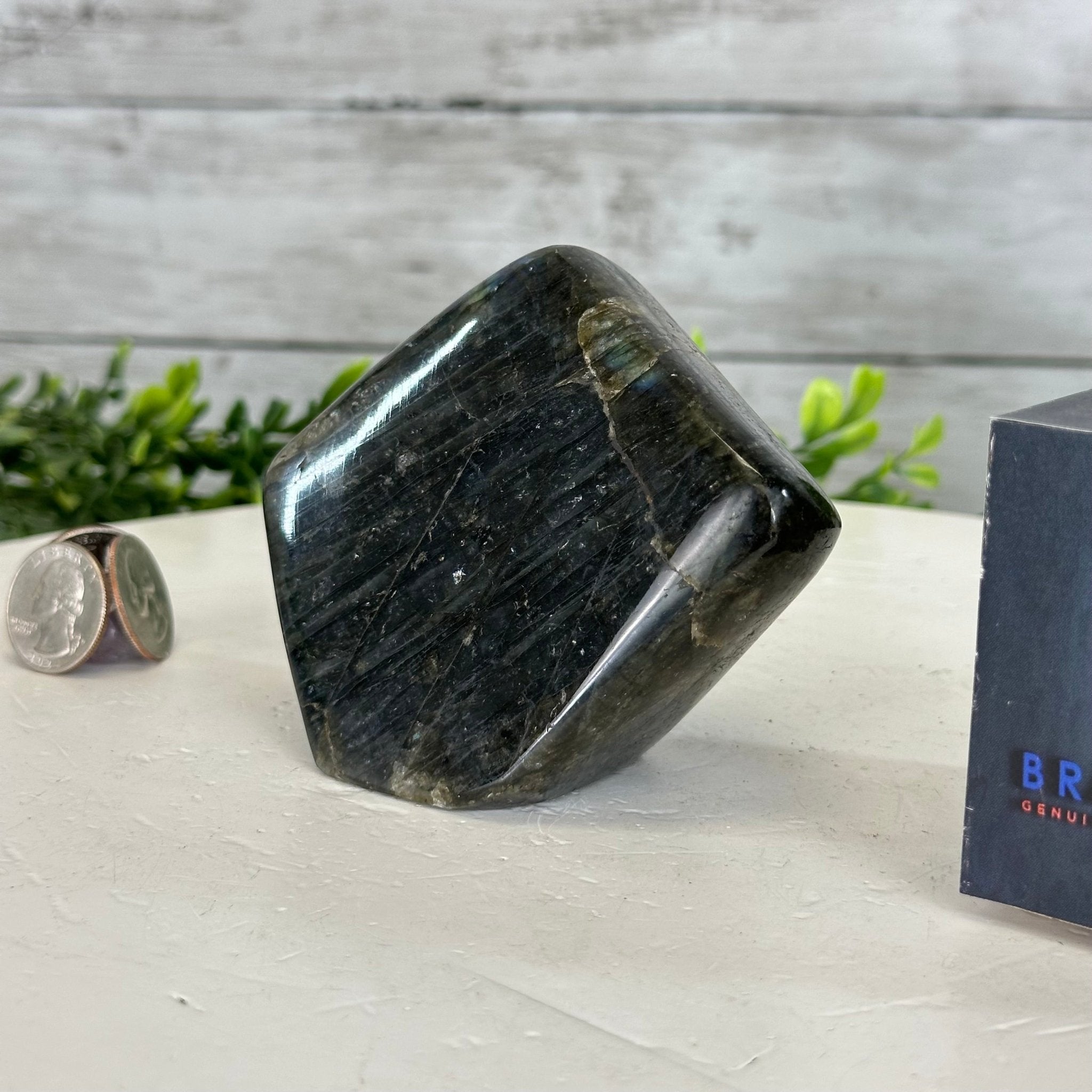 Polished Freeform Labradorite Gemstone, 1.1 lbs & 3.25” Tall #3301LB - 005 - Brazil GemsBrazil GemsPolished Freeform Labradorite Gemstone, 1.1 lbs & 3.25” Tall #3301LB - 005Freeform & Unique Shapes3301LB - 005