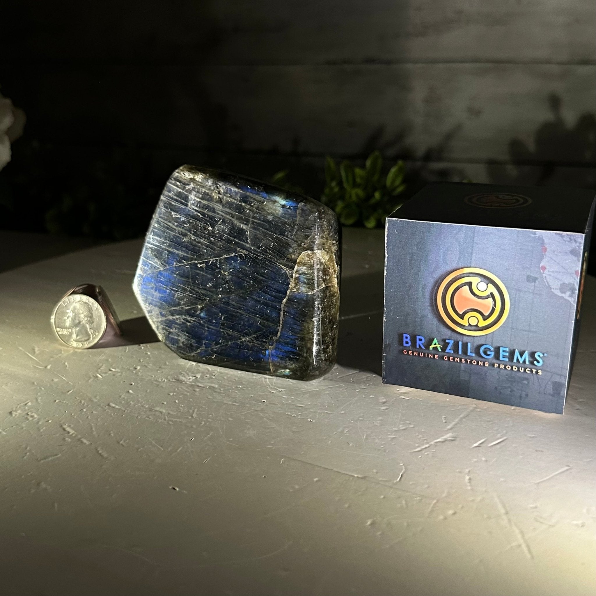 Polished Freeform Labradorite Gemstone, 1.1 lbs & 3.25” Tall #3301LB - 005 - Brazil GemsBrazil GemsPolished Freeform Labradorite Gemstone, 1.1 lbs & 3.25” Tall #3301LB - 005Freeform & Unique Shapes3301LB - 005
