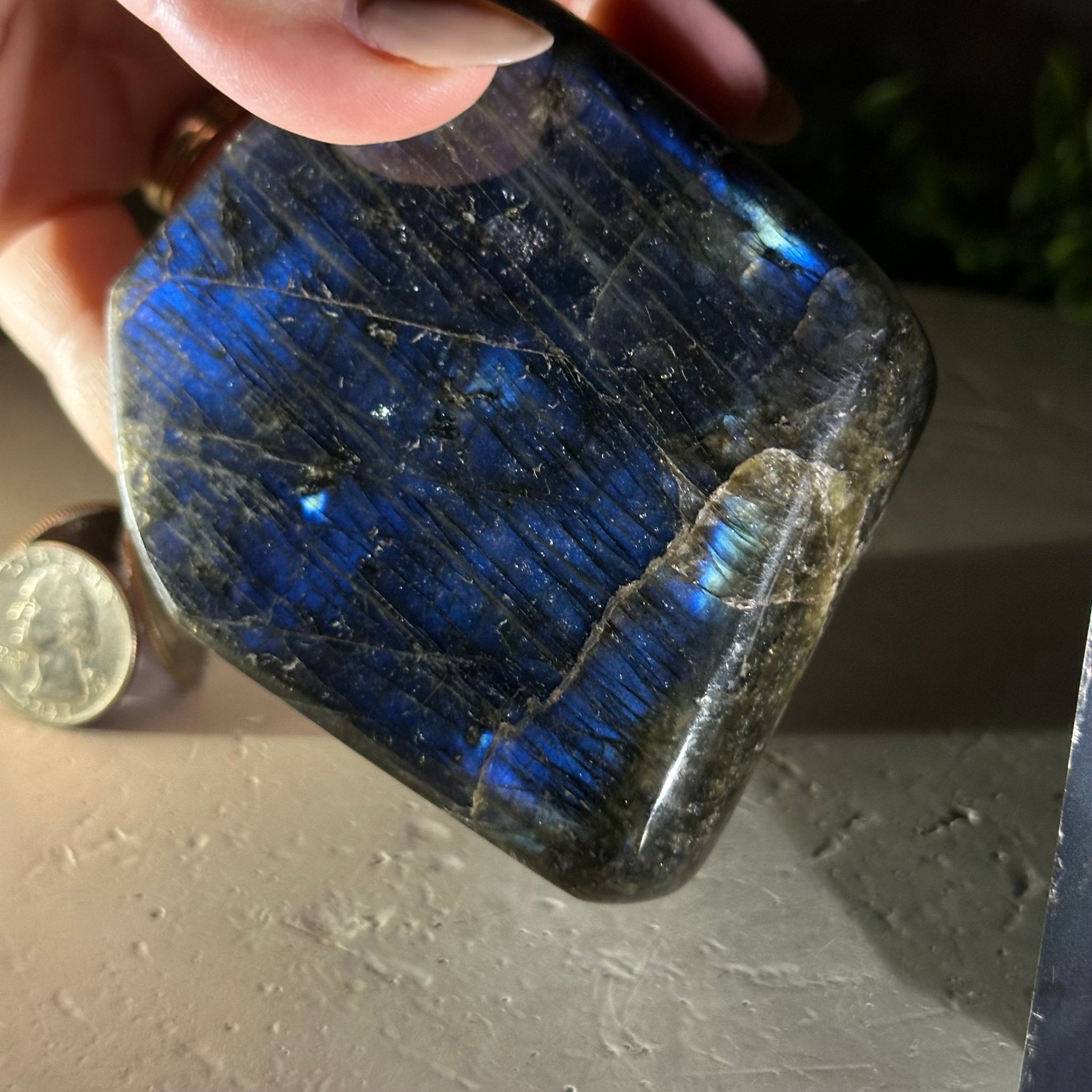 Polished Freeform Labradorite Gemstone, 1.1 lbs & 3.25” Tall #3301LB - 005 - Brazil GemsBrazil GemsPolished Freeform Labradorite Gemstone, 1.1 lbs & 3.25” Tall #3301LB - 005Freeform & Unique Shapes3301LB - 005