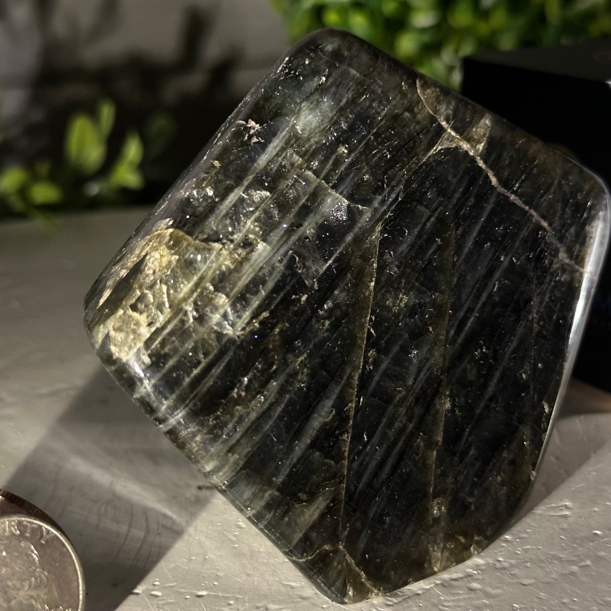 Polished Freeform Labradorite Gemstone, 1.1 lbs & 3.25” Tall #3301LB - 005 - Brazil GemsBrazil GemsPolished Freeform Labradorite Gemstone, 1.1 lbs & 3.25” Tall #3301LB - 005Freeform & Unique Shapes3301LB - 005