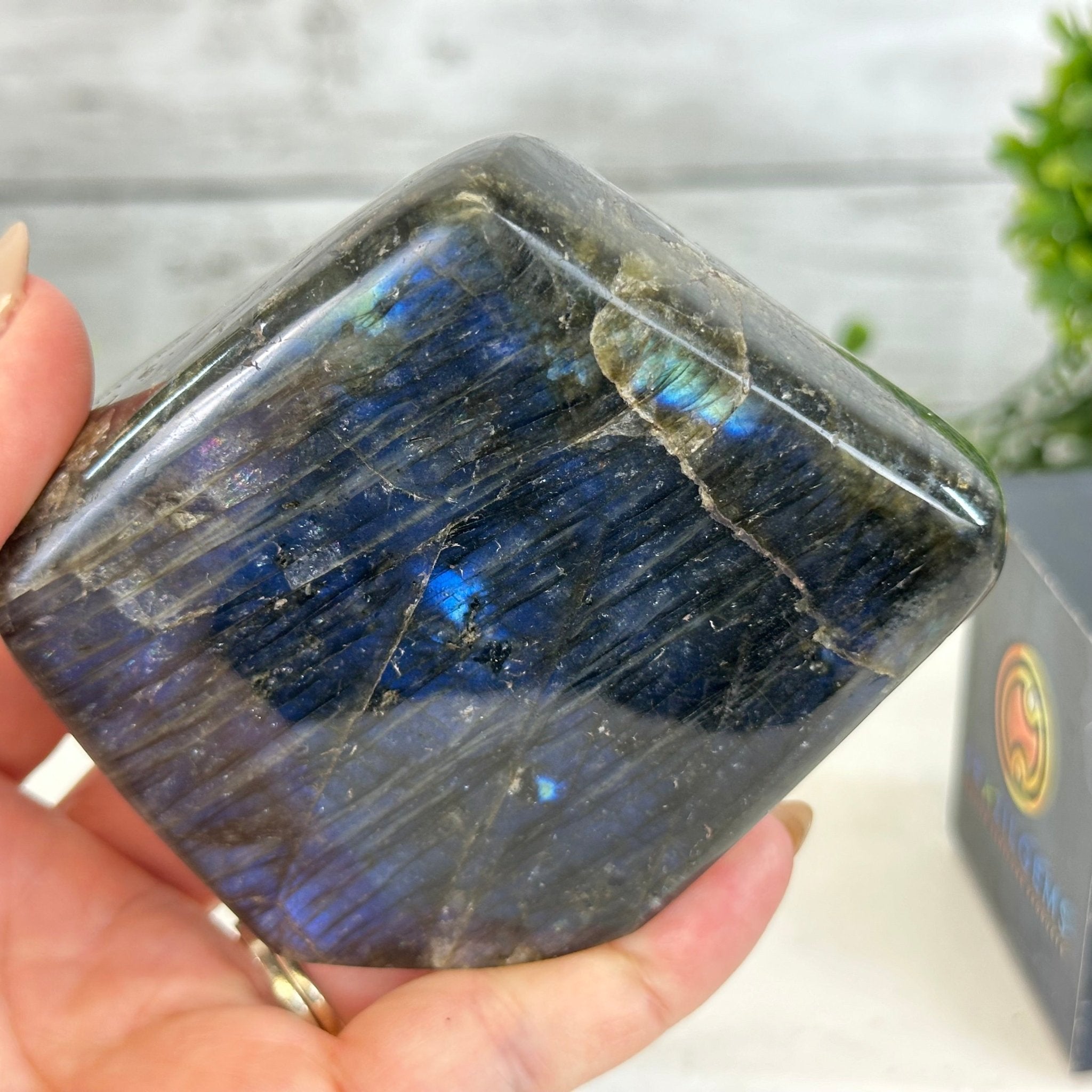 Polished Freeform Labradorite Gemstone, 1.1 lbs & 3.25” Tall #3301LB - 005 - Brazil GemsBrazil GemsPolished Freeform Labradorite Gemstone, 1.1 lbs & 3.25” Tall #3301LB - 005Freeform & Unique Shapes3301LB - 005