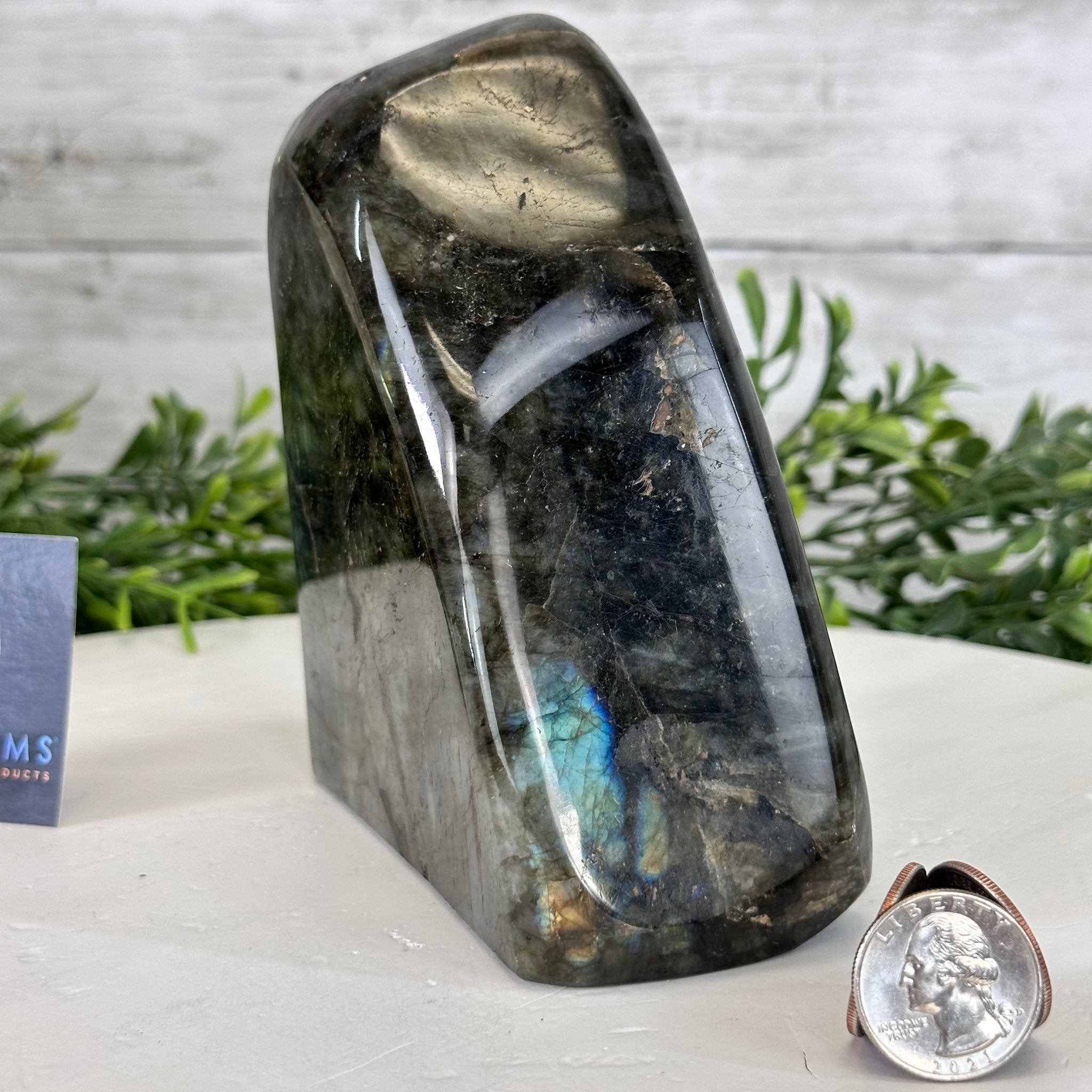 Polished Freeform Labradorite Gemstone, 3.6 lbs & 5.1” tall Model #3301LB-049 by Brazil Gems - Brazil GemsBrazil GemsPolished Freeform Labradorite Gemstone, 3.6 lbs & 5.1” tall Model #3301LB-049 by Brazil GemsFreeform & Unique Shapes3301LB-049