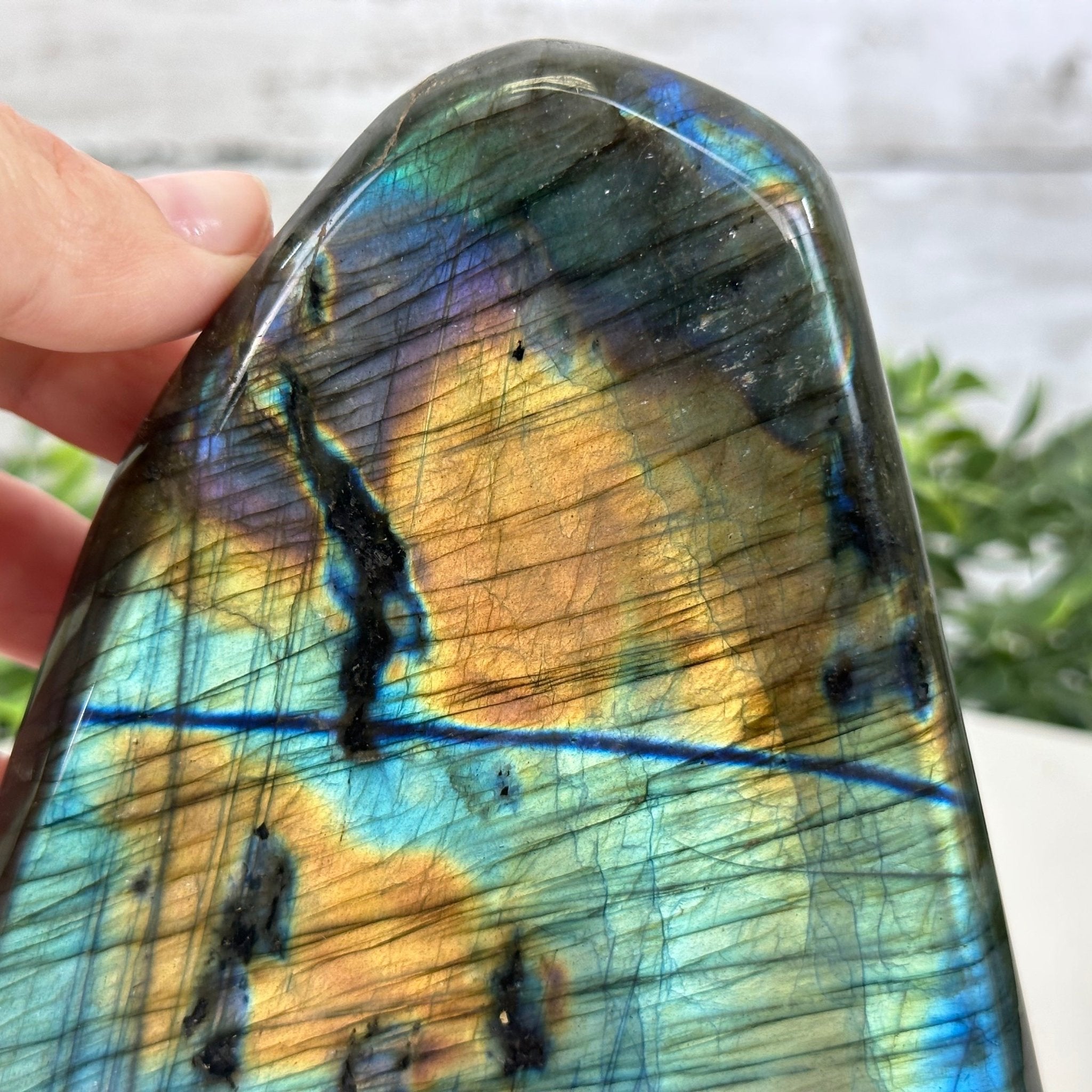 Polished Freeform Labradorite Gemstone, 3.6 lbs & 5.1” tall Model #3301LB-049 by Brazil Gems - Brazil GemsBrazil GemsPolished Freeform Labradorite Gemstone, 3.6 lbs & 5.1” tall Model #3301LB-049 by Brazil GemsFreeform & Unique Shapes3301LB-049
