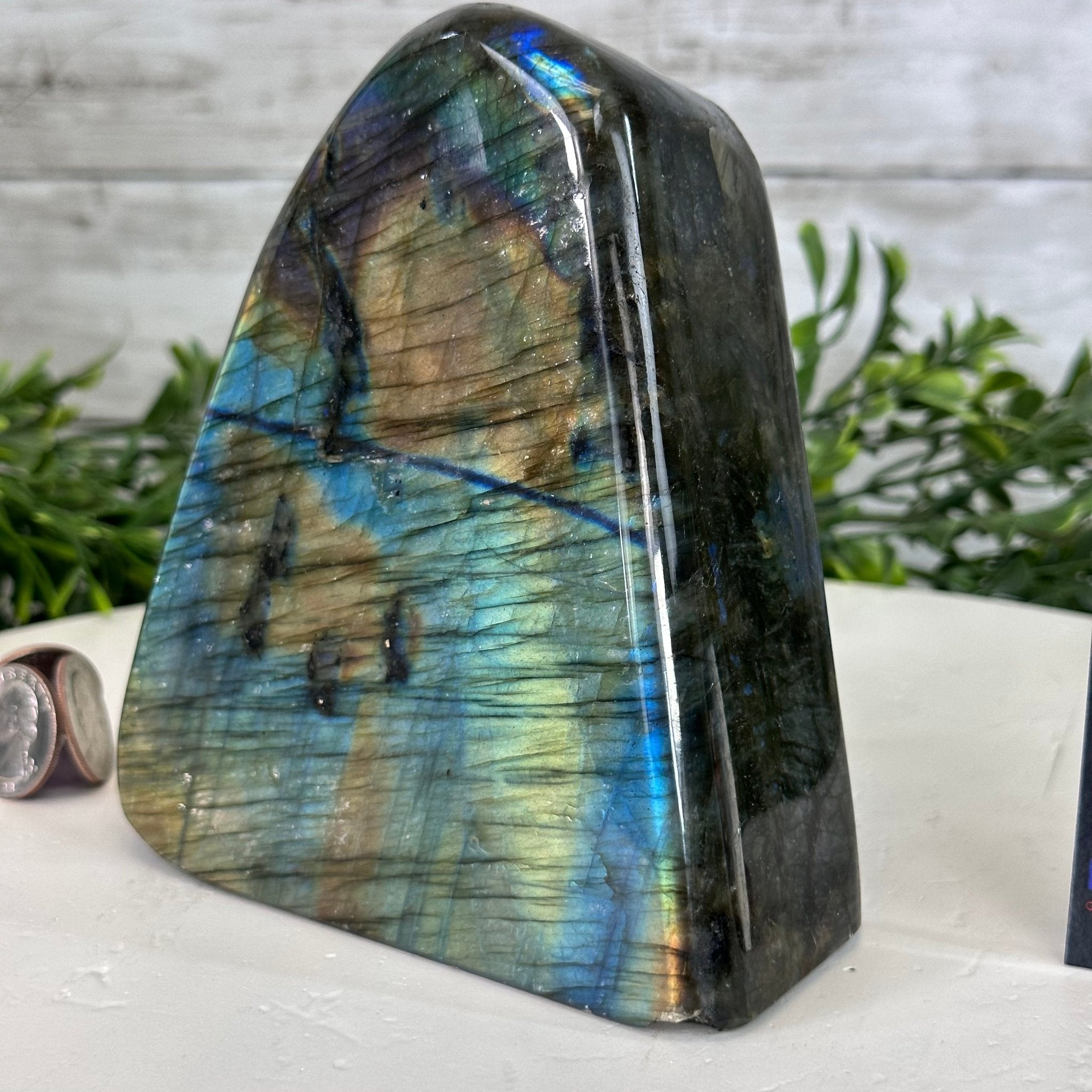 Polished Freeform Labradorite Gemstone, 3.6 lbs & 5.1” tall Model #3301LB-049 by Brazil Gems - Brazil GemsBrazil GemsPolished Freeform Labradorite Gemstone, 3.6 lbs & 5.1” tall Model #3301LB-049 by Brazil GemsFreeform & Unique Shapes3301LB-049