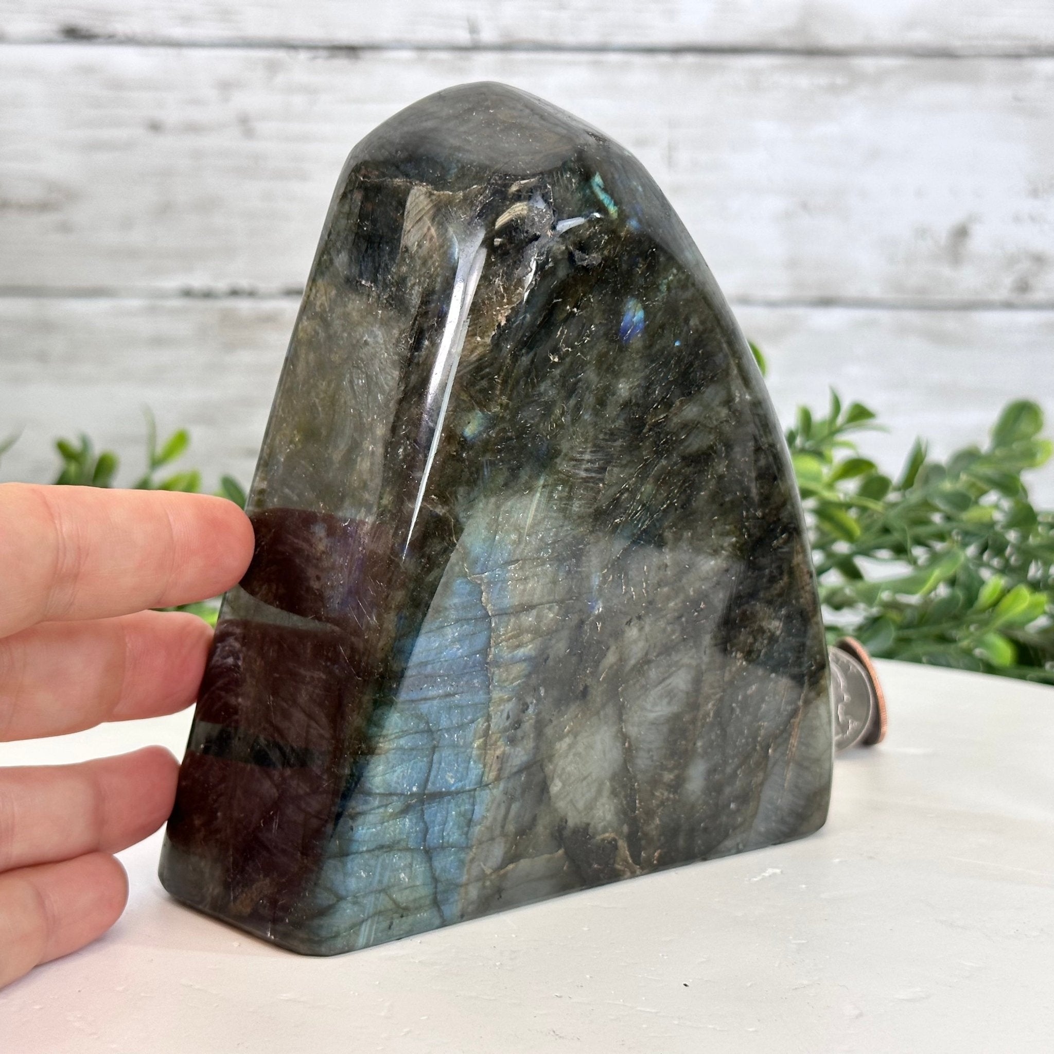 Polished Freeform Labradorite Gemstone, 3.6 lbs & 5.1” tall Model #3301LB-049 by Brazil Gems - Brazil GemsBrazil GemsPolished Freeform Labradorite Gemstone, 3.6 lbs & 5.1” tall Model #3301LB-049 by Brazil GemsFreeform & Unique Shapes3301LB-049