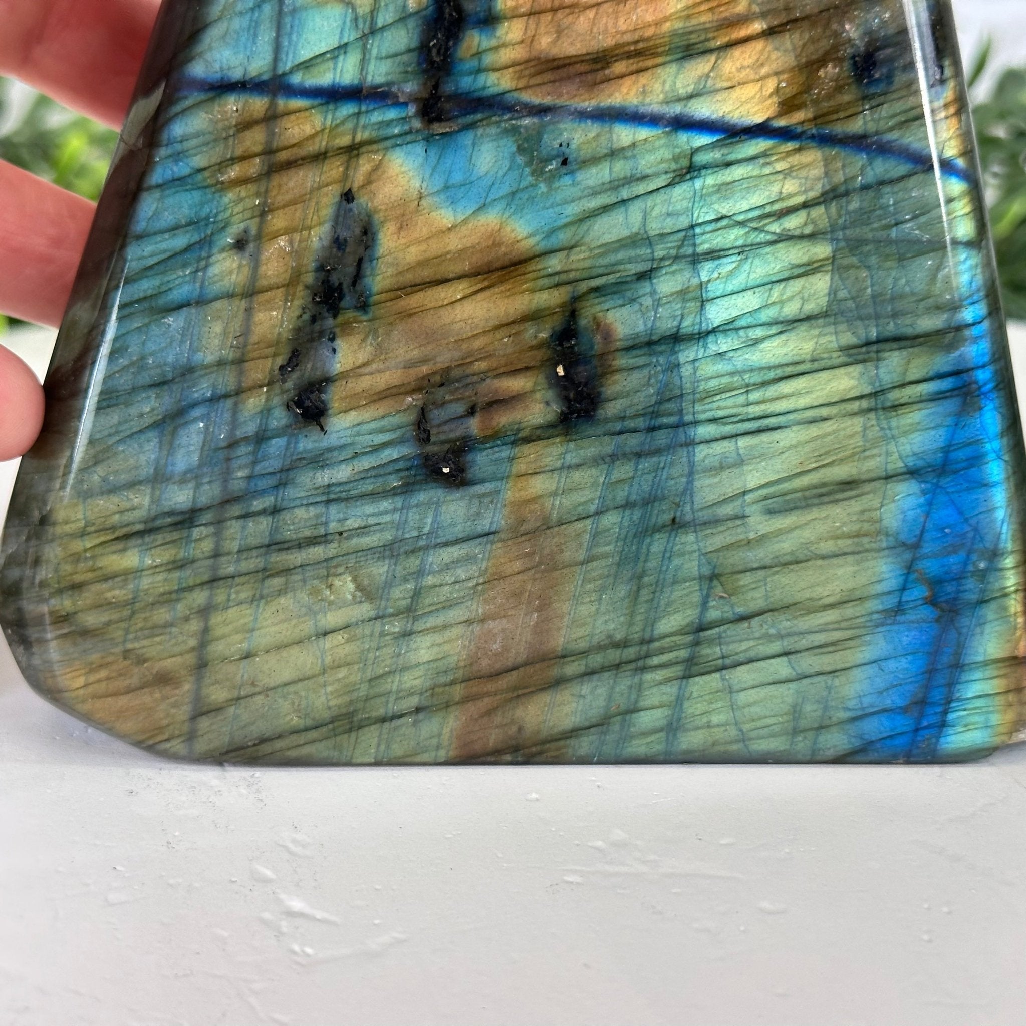 Polished Freeform Labradorite Gemstone, 3.6 lbs & 5.1” tall Model #3301LB-049 by Brazil Gems - Brazil GemsBrazil GemsPolished Freeform Labradorite Gemstone, 3.6 lbs & 5.1” tall Model #3301LB-049 by Brazil GemsFreeform & Unique Shapes3301LB-049
