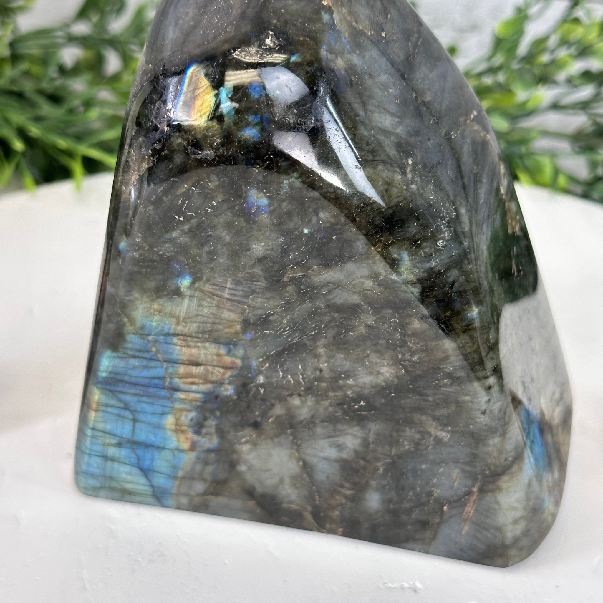 Polished Freeform Labradorite Gemstone, 3.6 lbs & 5.1” tall Model #3301LB-049 by Brazil Gems - Brazil GemsBrazil GemsPolished Freeform Labradorite Gemstone, 3.6 lbs & 5.1” tall Model #3301LB-049 by Brazil GemsFreeform & Unique Shapes3301LB-049