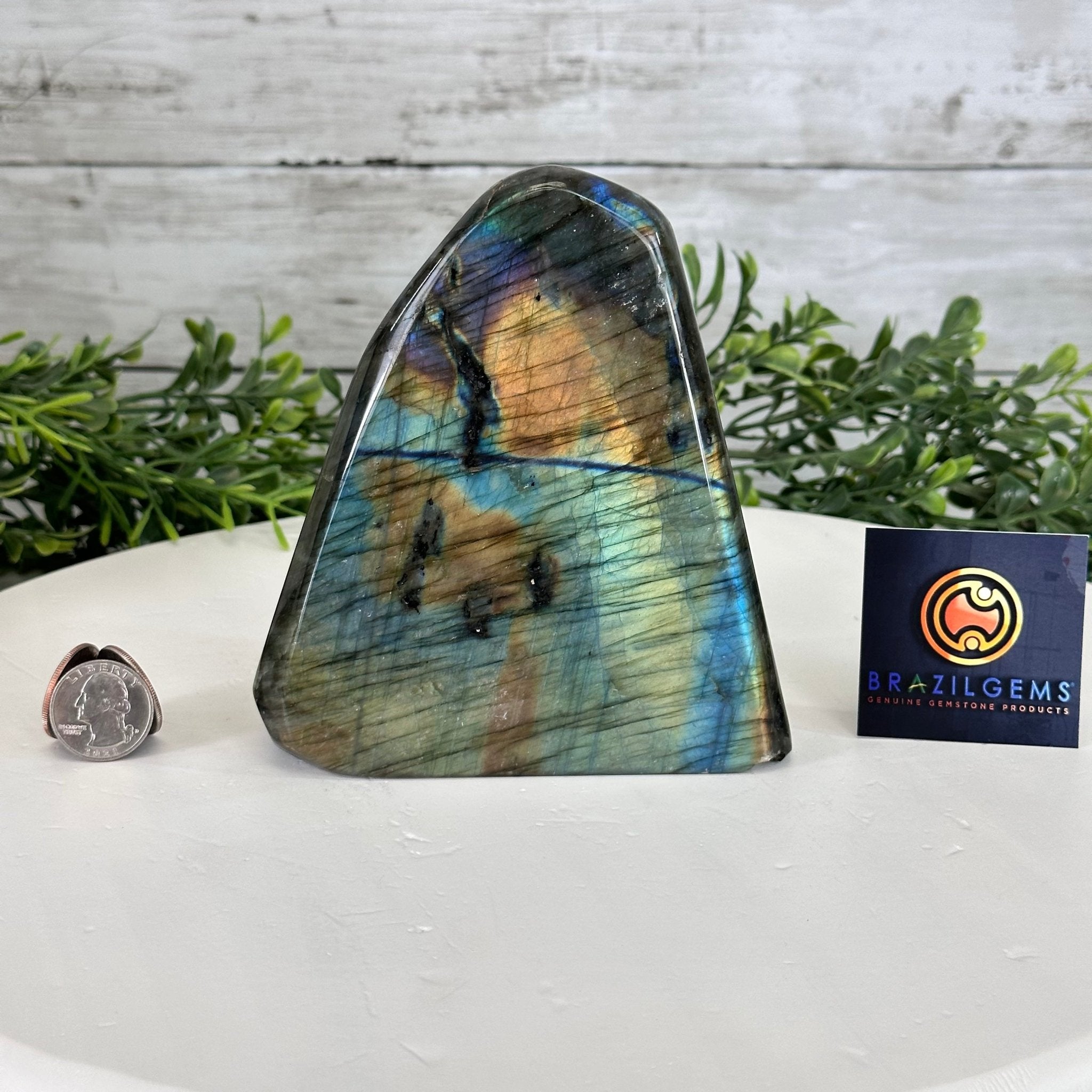Polished Freeform Labradorite Gemstone, 3.6 lbs & 5.1” tall Model #3301LB-049 by Brazil Gems - Brazil GemsBrazil GemsPolished Freeform Labradorite Gemstone, 3.6 lbs & 5.1” tall Model #3301LB-049 by Brazil GemsFreeform & Unique Shapes3301LB-049