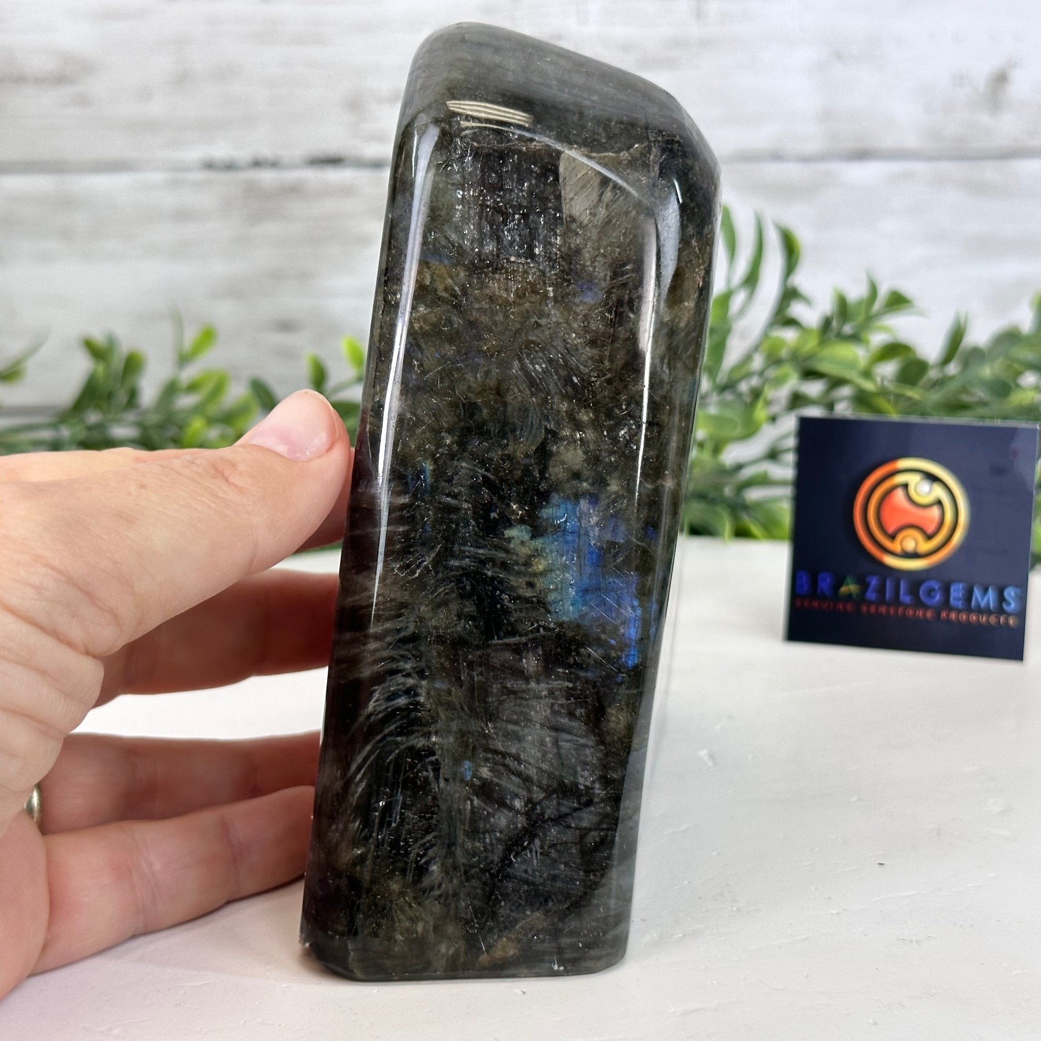 Polished Freeform Labradorite Gemstone, 3.6 lbs & 5.1” tall Model #3301LB-049 by Brazil Gems - Brazil GemsBrazil GemsPolished Freeform Labradorite Gemstone, 3.6 lbs & 5.1” tall Model #3301LB-049 by Brazil GemsFreeform & Unique Shapes3301LB-049