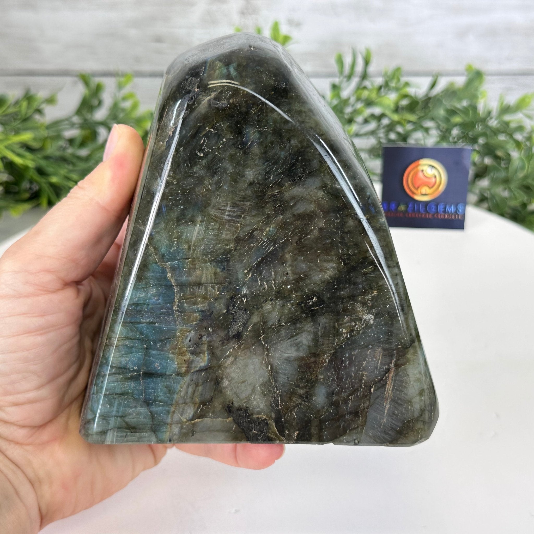 Polished Freeform Labradorite Gemstone, 3.6 lbs & 5.1” tall Model #3301LB-049 by Brazil Gems - Brazil GemsBrazil GemsPolished Freeform Labradorite Gemstone, 3.6 lbs & 5.1” tall Model #3301LB-049 by Brazil GemsFreeform & Unique Shapes3301LB-049