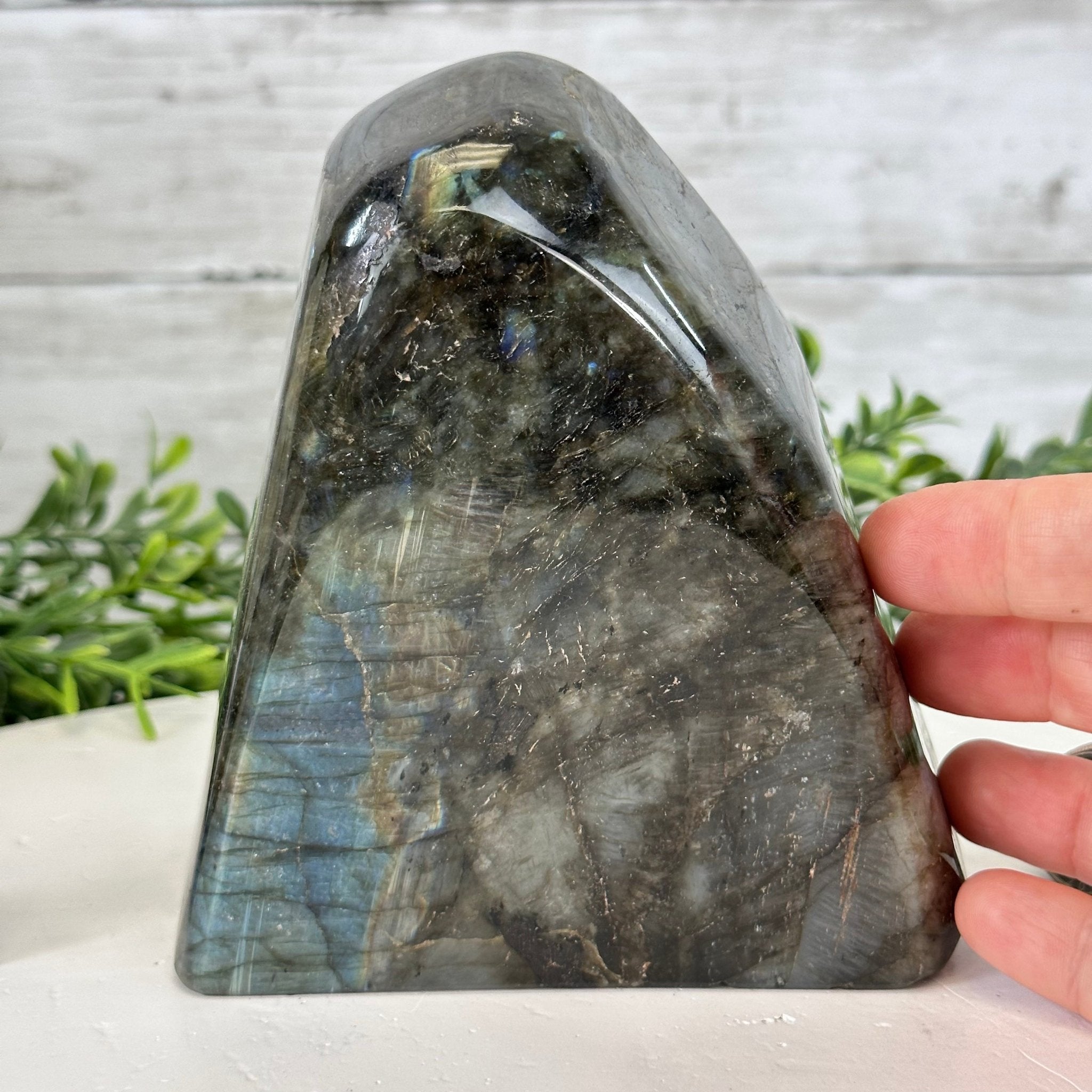 Polished Freeform Labradorite Gemstone, 3.6 lbs & 5.1” tall Model #3301LB-049 by Brazil Gems - Brazil GemsBrazil GemsPolished Freeform Labradorite Gemstone, 3.6 lbs & 5.1” tall Model #3301LB-049 by Brazil GemsFreeform & Unique Shapes3301LB-049