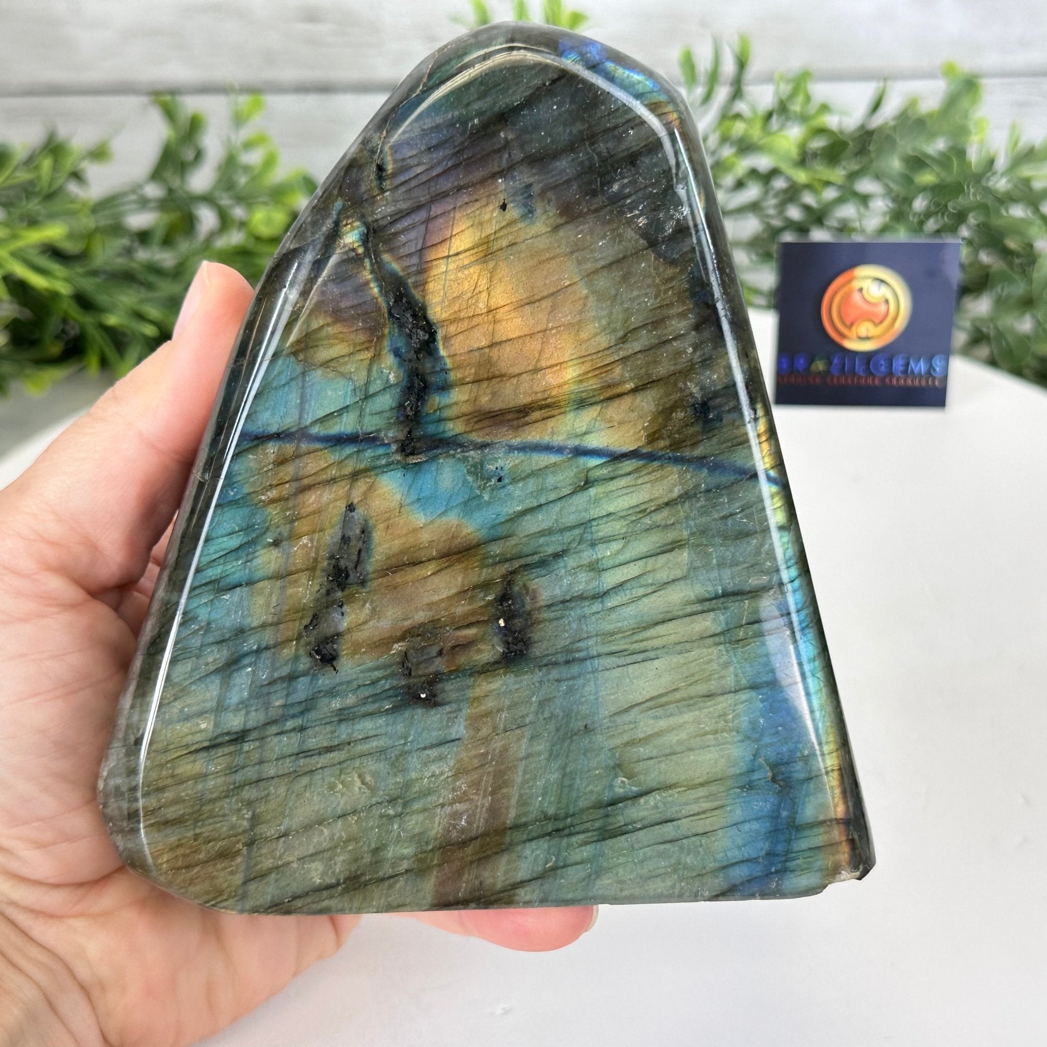Polished Freeform Labradorite Gemstone, 3.6 lbs & 5.1” tall Model #3301LB-049 by Brazil Gems - Brazil GemsBrazil GemsPolished Freeform Labradorite Gemstone, 3.6 lbs & 5.1” tall Model #3301LB-049 by Brazil GemsFreeform & Unique Shapes3301LB-049