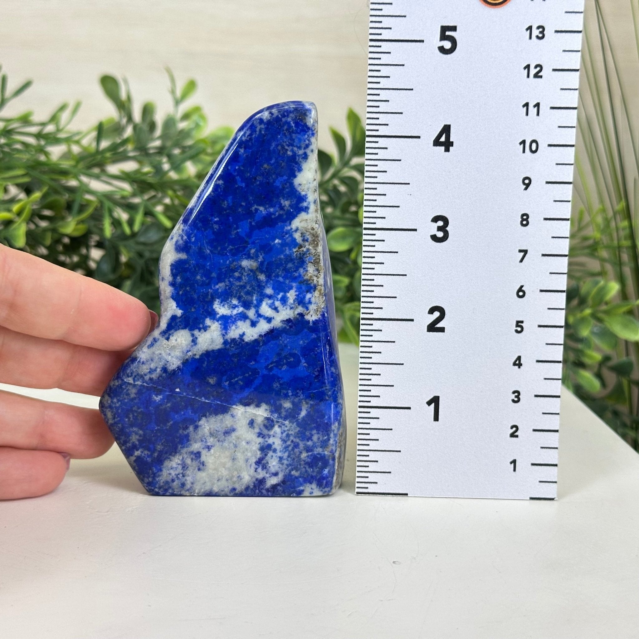 Polished Freeform Lapis Lazuli Palm Stone 3488LL - 018 - Brazil GemsBrazil GemsPolished Freeform Lapis Lazuli Palm Stone 3488LL - 018Freeform & Unique Shapes3488LL - 018