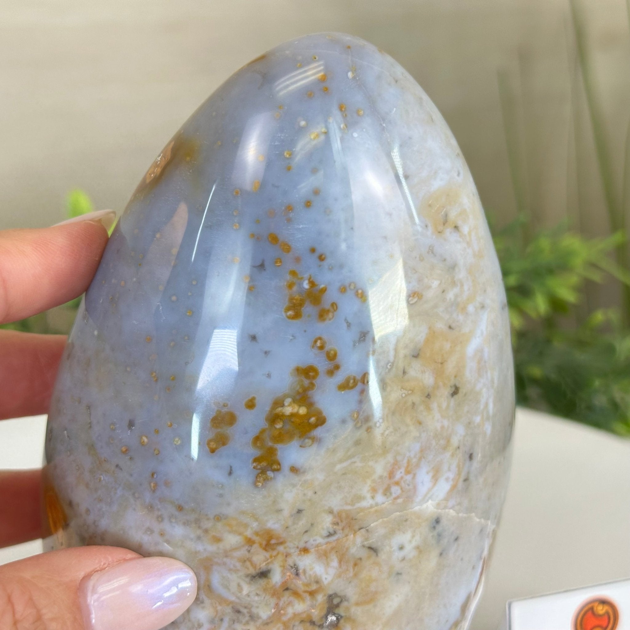 Polished Freeform Ocean Jasper Gemstone, 5.5 lbs & 7.4” Tall #3301OJ - 001 - Brazil GemsBrazil GemsPolished Freeform Ocean Jasper Gemstone, 5.5 lbs & 7.4” Tall #3301OJ - 001Freeform & Unique Shapes3301OJ - 001