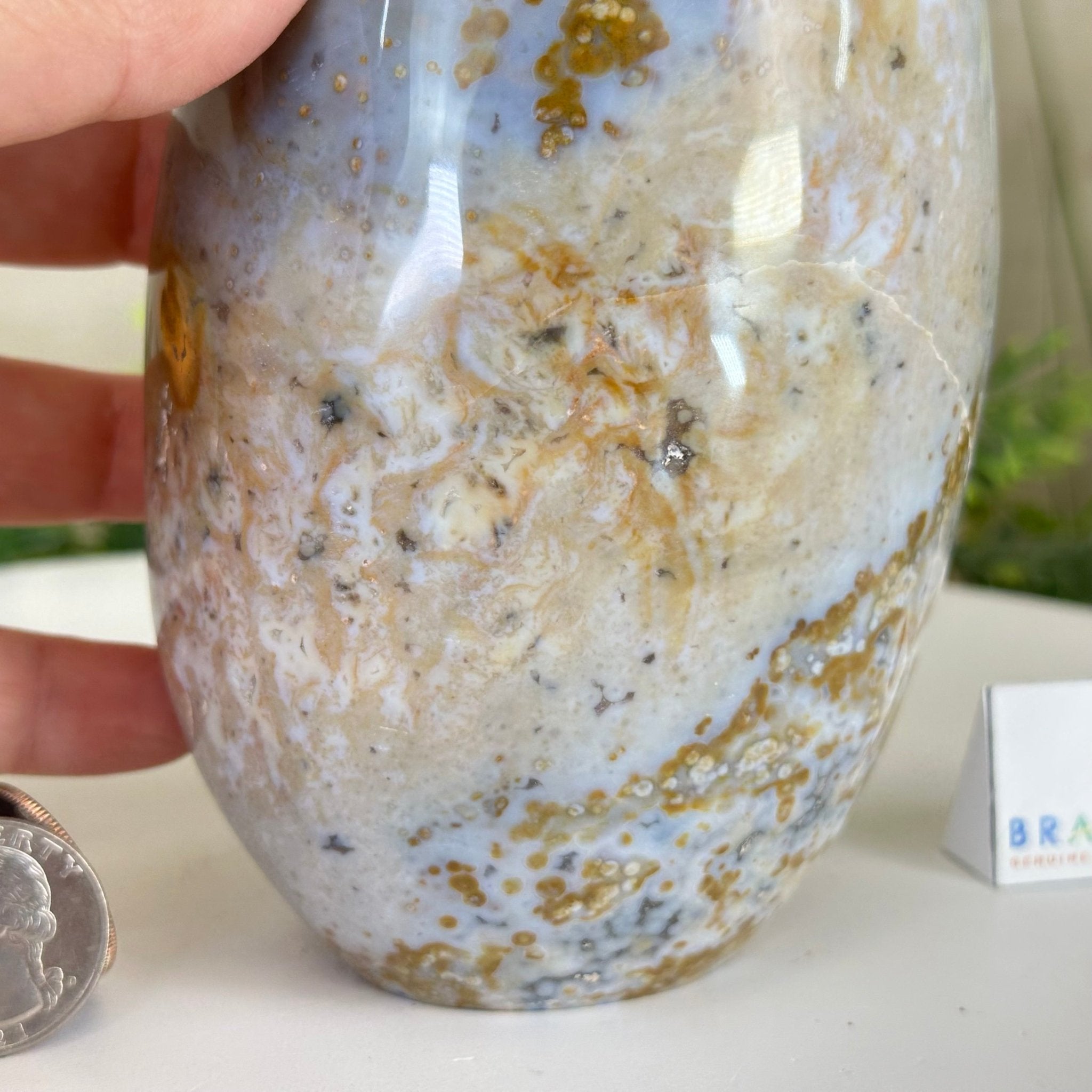 Polished Freeform Ocean Jasper Gemstone, 5.5 lbs & 7.4” Tall #3301OJ - 001 - Brazil GemsBrazil GemsPolished Freeform Ocean Jasper Gemstone, 5.5 lbs & 7.4” Tall #3301OJ - 001Freeform & Unique Shapes3301OJ - 001