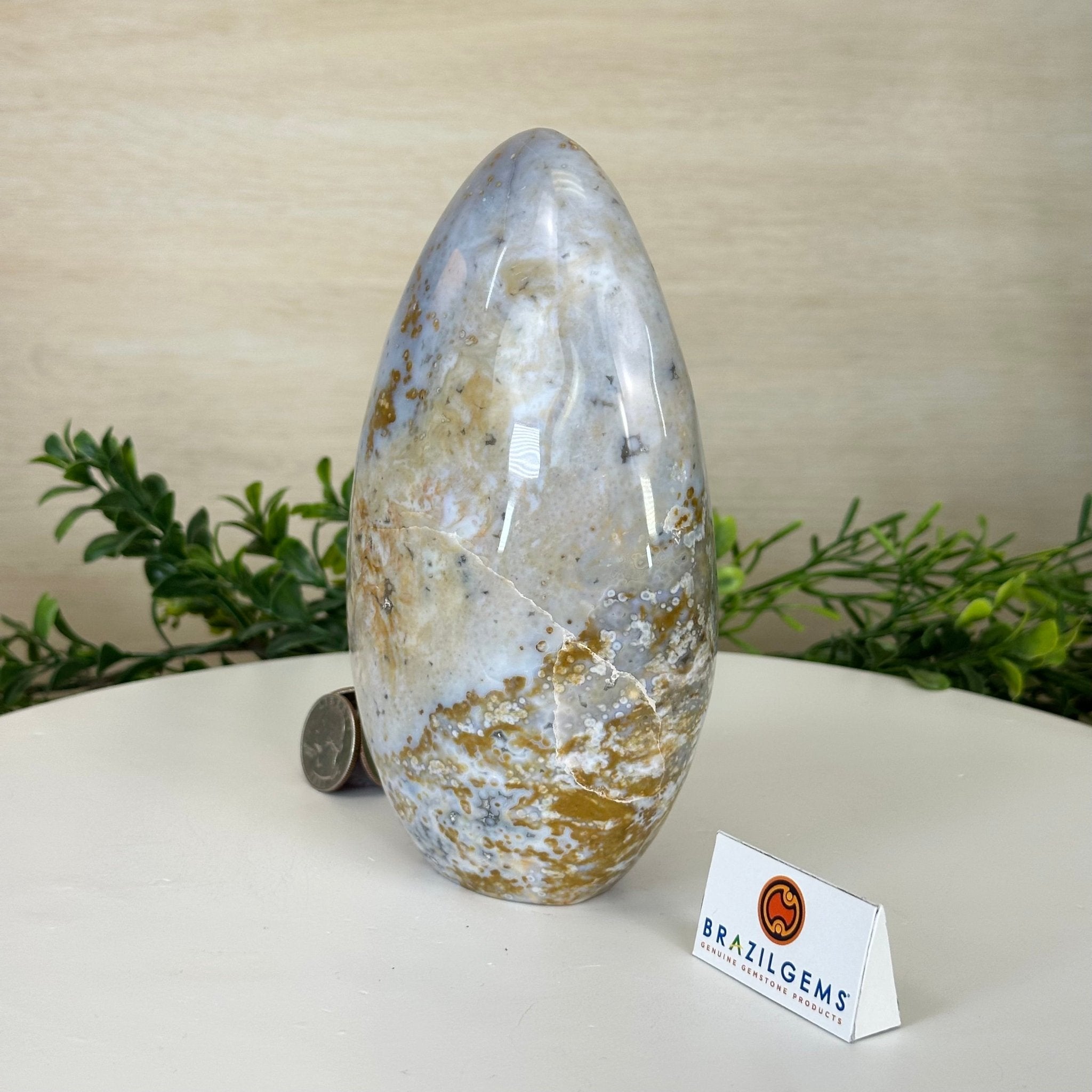 Polished Freeform Ocean Jasper Gemstone, 5.5 lbs & 7.4” Tall #3301OJ - 001 - Brazil GemsBrazil GemsPolished Freeform Ocean Jasper Gemstone, 5.5 lbs & 7.4” Tall #3301OJ - 001Freeform & Unique Shapes3301OJ - 001