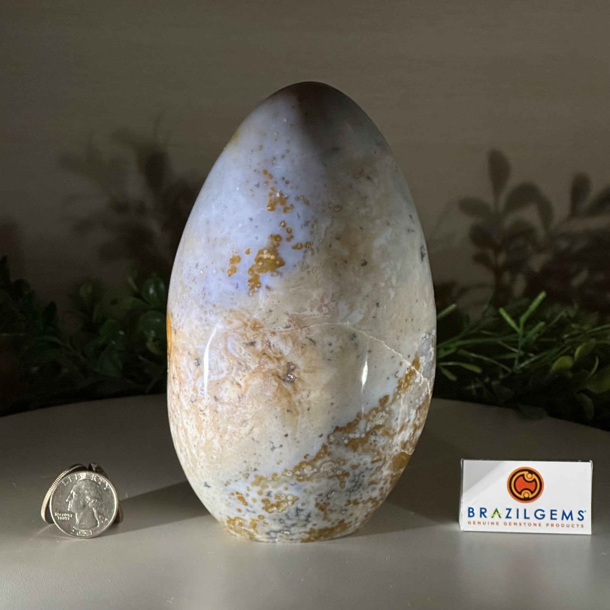 Polished Freeform Ocean Jasper Gemstone, 5.5 lbs & 7.4” Tall #3301OJ - 001 - Brazil GemsBrazil GemsPolished Freeform Ocean Jasper Gemstone, 5.5 lbs & 7.4” Tall #3301OJ - 001Freeform & Unique Shapes3301OJ - 001