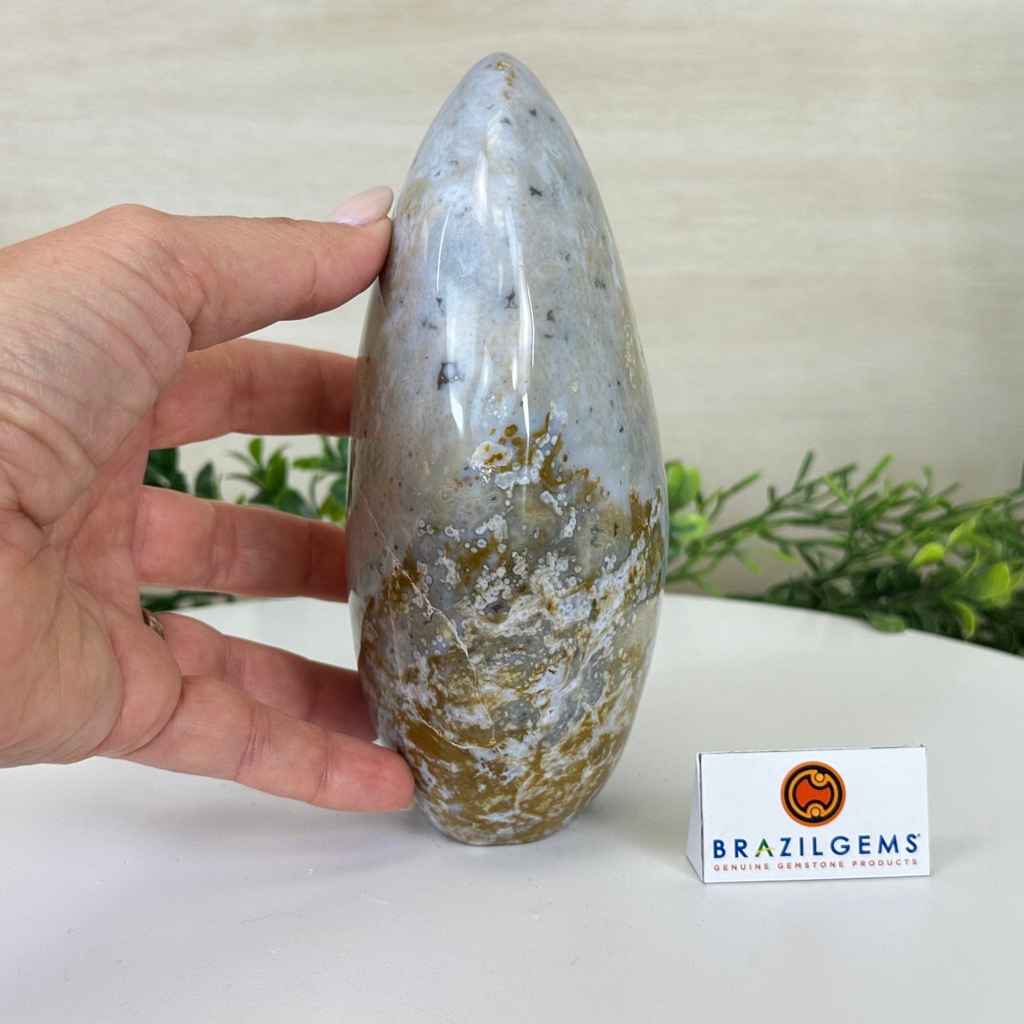 Polished Freeform Ocean Jasper Gemstone, 5.5 lbs & 7.4” Tall #3301OJ - 001 - Brazil GemsBrazil GemsPolished Freeform Ocean Jasper Gemstone, 5.5 lbs & 7.4” Tall #3301OJ - 001Freeform & Unique Shapes3301OJ - 001