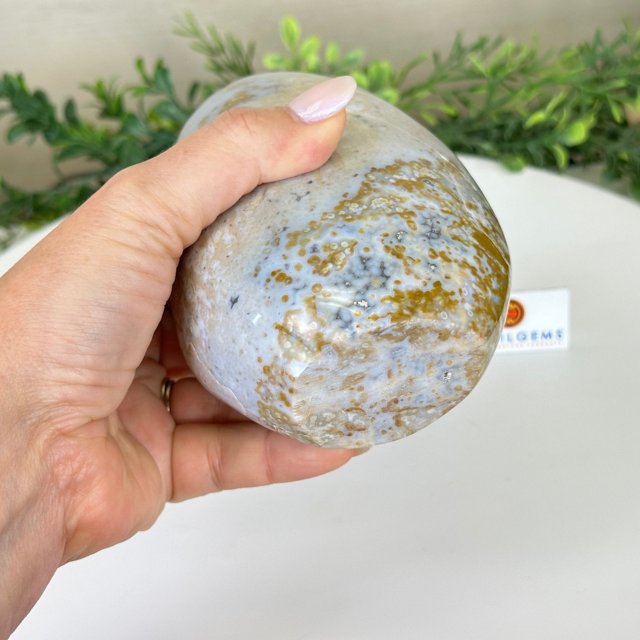 Polished Freeform Ocean Jasper Gemstone, 5.5 lbs & 7.4” Tall #3301OJ - 001 - Brazil GemsBrazil GemsPolished Freeform Ocean Jasper Gemstone, 5.5 lbs & 7.4” Tall #3301OJ - 001Freeform & Unique Shapes3301OJ - 001