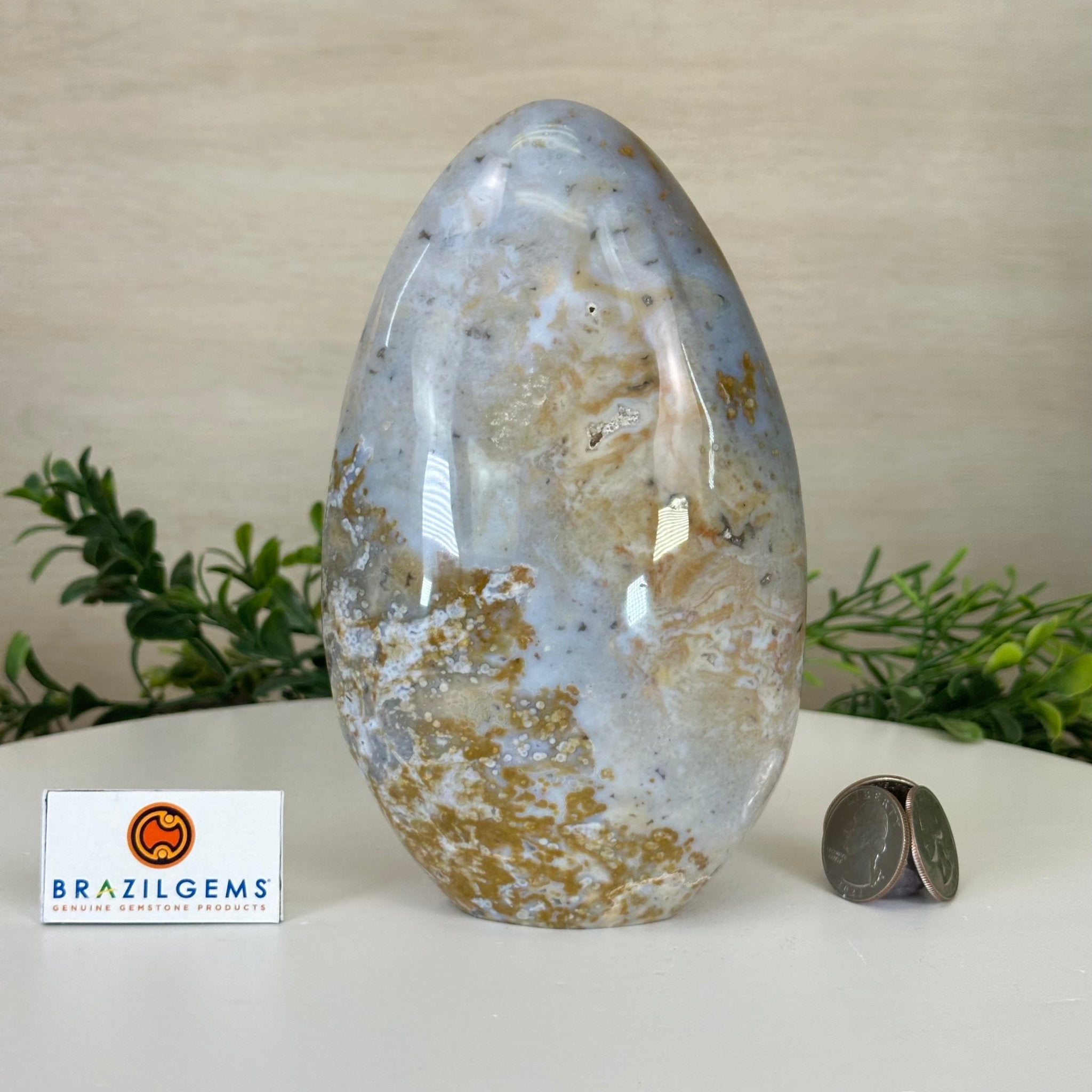 Polished Freeform Ocean Jasper Gemstone, 5.5 lbs & 7.4” Tall #3301OJ - 001 - Brazil GemsBrazil GemsPolished Freeform Ocean Jasper Gemstone, 5.5 lbs & 7.4” Tall #3301OJ - 001Freeform & Unique Shapes3301OJ - 001