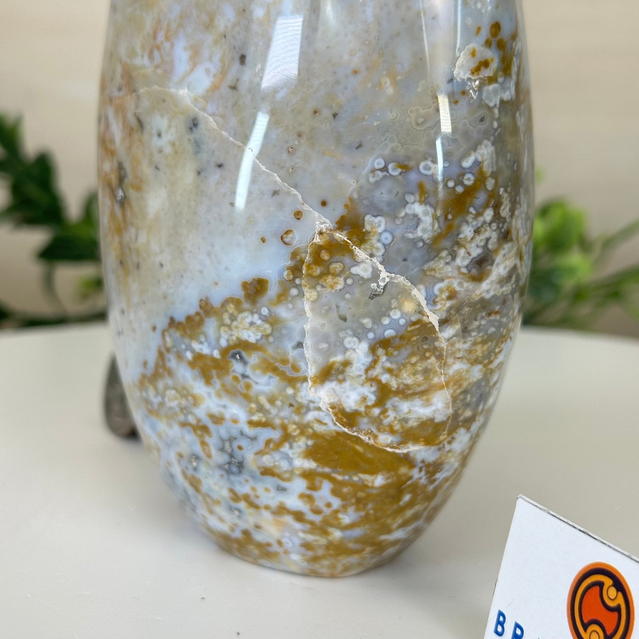 Polished Freeform Ocean Jasper Gemstone, 5.5 lbs & 7.4” Tall #3301OJ - 001 - Brazil GemsBrazil GemsPolished Freeform Ocean Jasper Gemstone, 5.5 lbs & 7.4” Tall #3301OJ - 001Freeform & Unique Shapes3301OJ - 001