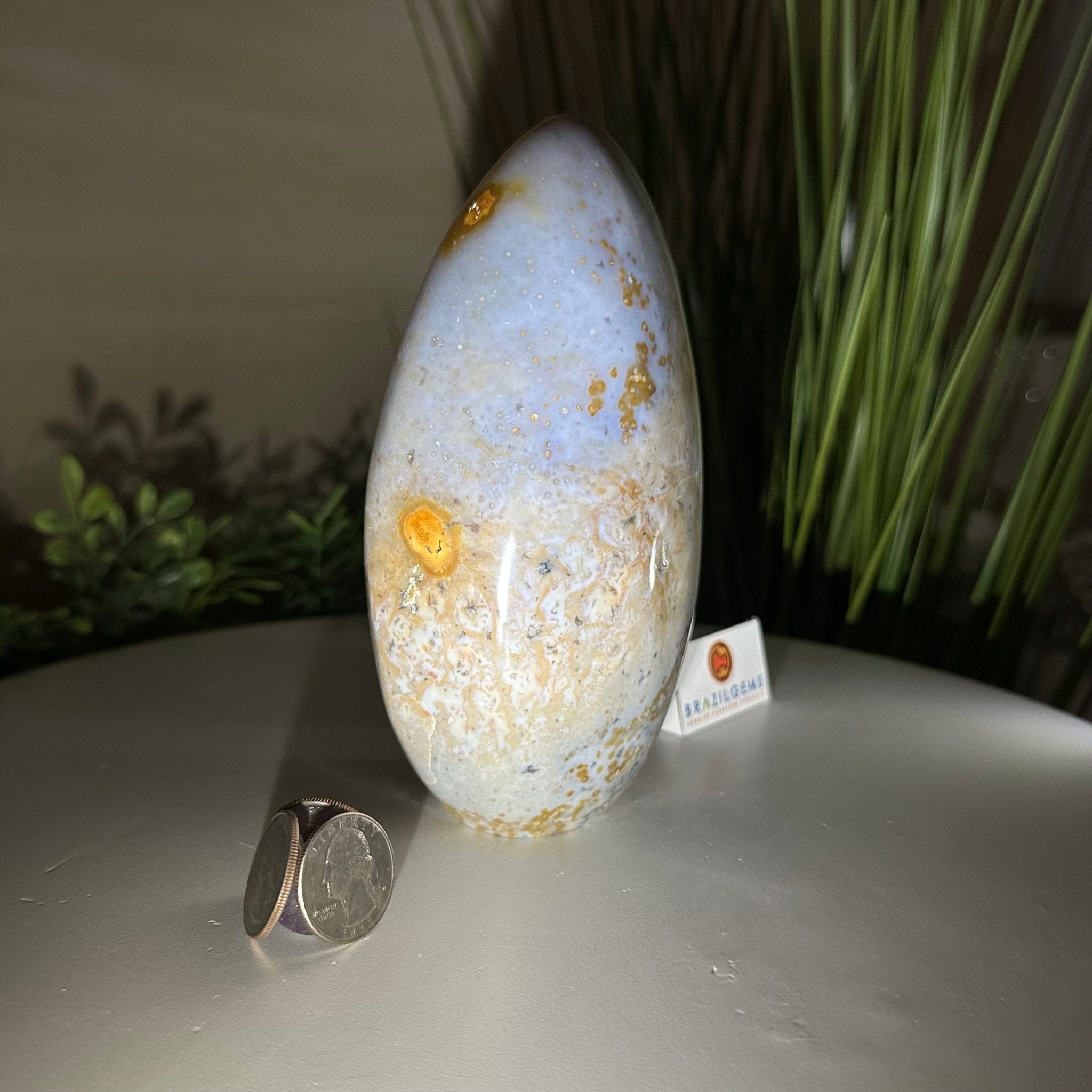 Polished Freeform Ocean Jasper Gemstone, 5.5 lbs & 7.4” Tall #3301OJ - 001 - Brazil GemsBrazil GemsPolished Freeform Ocean Jasper Gemstone, 5.5 lbs & 7.4” Tall #3301OJ - 001Freeform & Unique Shapes3301OJ - 001