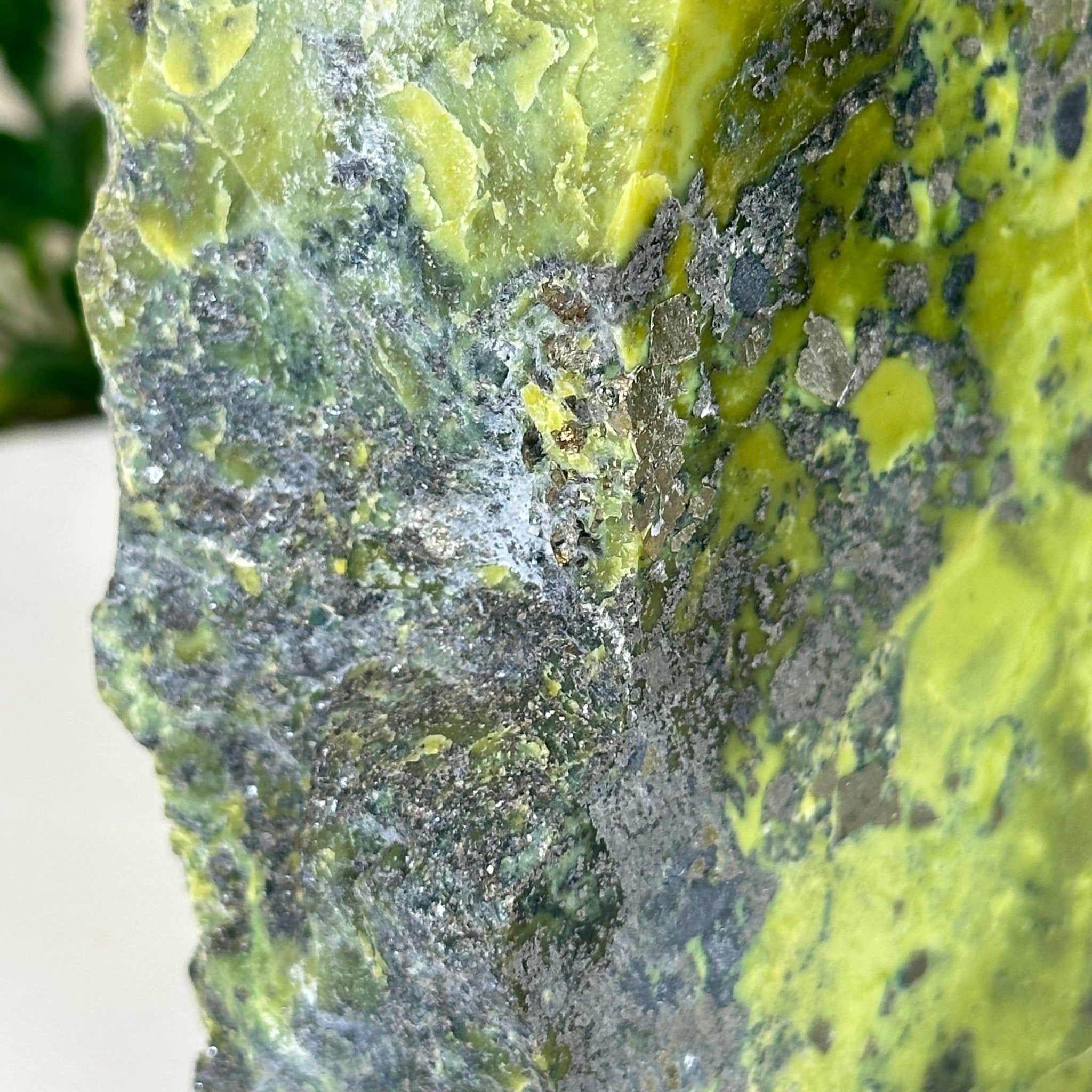 Polished Freeform Serpentine Gemstone, 3.2 lbs & 5” Tall #3303SE - 001 - Brazil GemsBrazil GemsPolished Freeform Serpentine Gemstone, 3.2 lbs & 5” Tall #3303SE - 001Freeform & Unique Shapes3303SE - 001