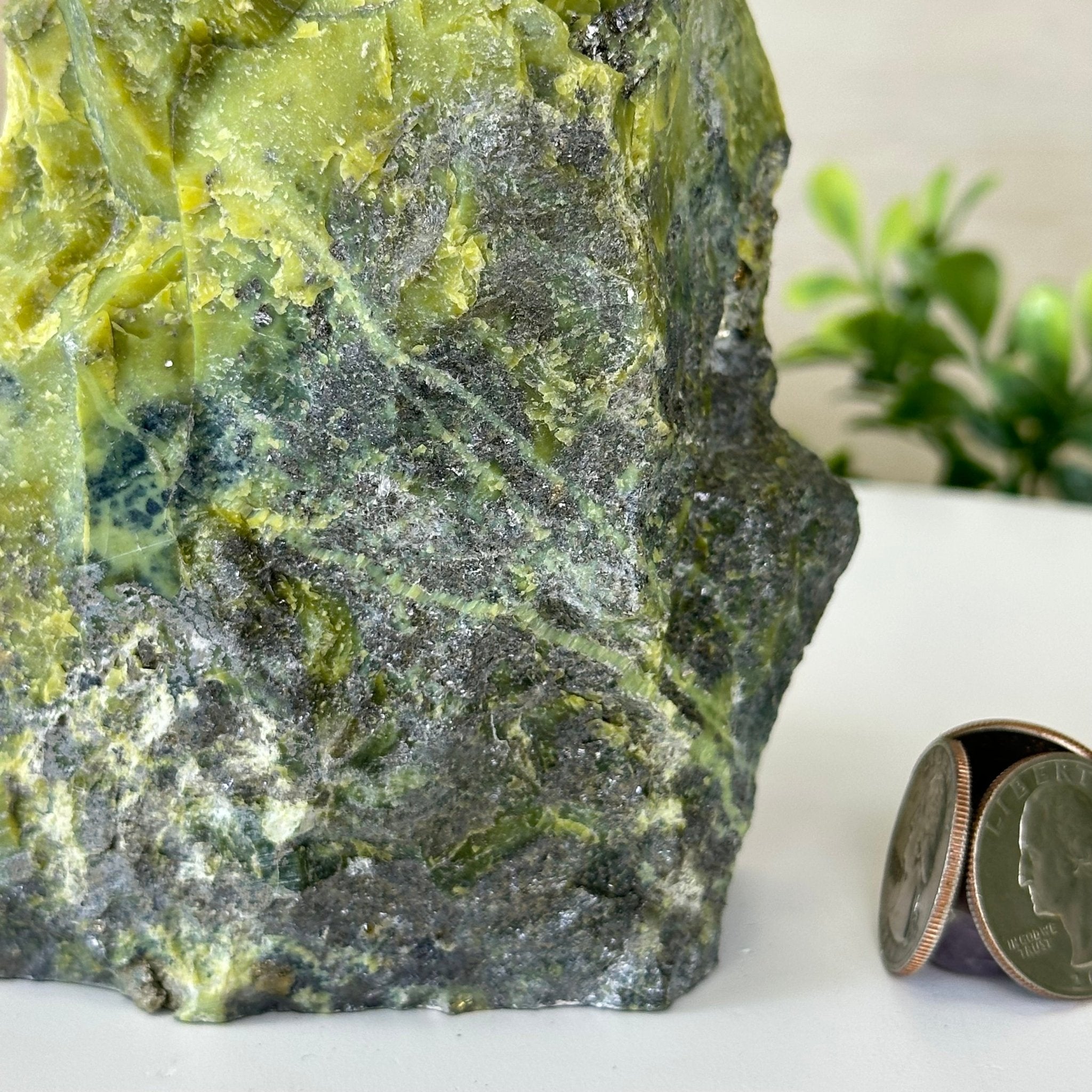 Polished Freeform Serpentine Gemstone, 3.2 lbs & 5” Tall #3303SE - 001 - Brazil GemsBrazil GemsPolished Freeform Serpentine Gemstone, 3.2 lbs & 5” Tall #3303SE - 001Freeform & Unique Shapes3303SE - 001