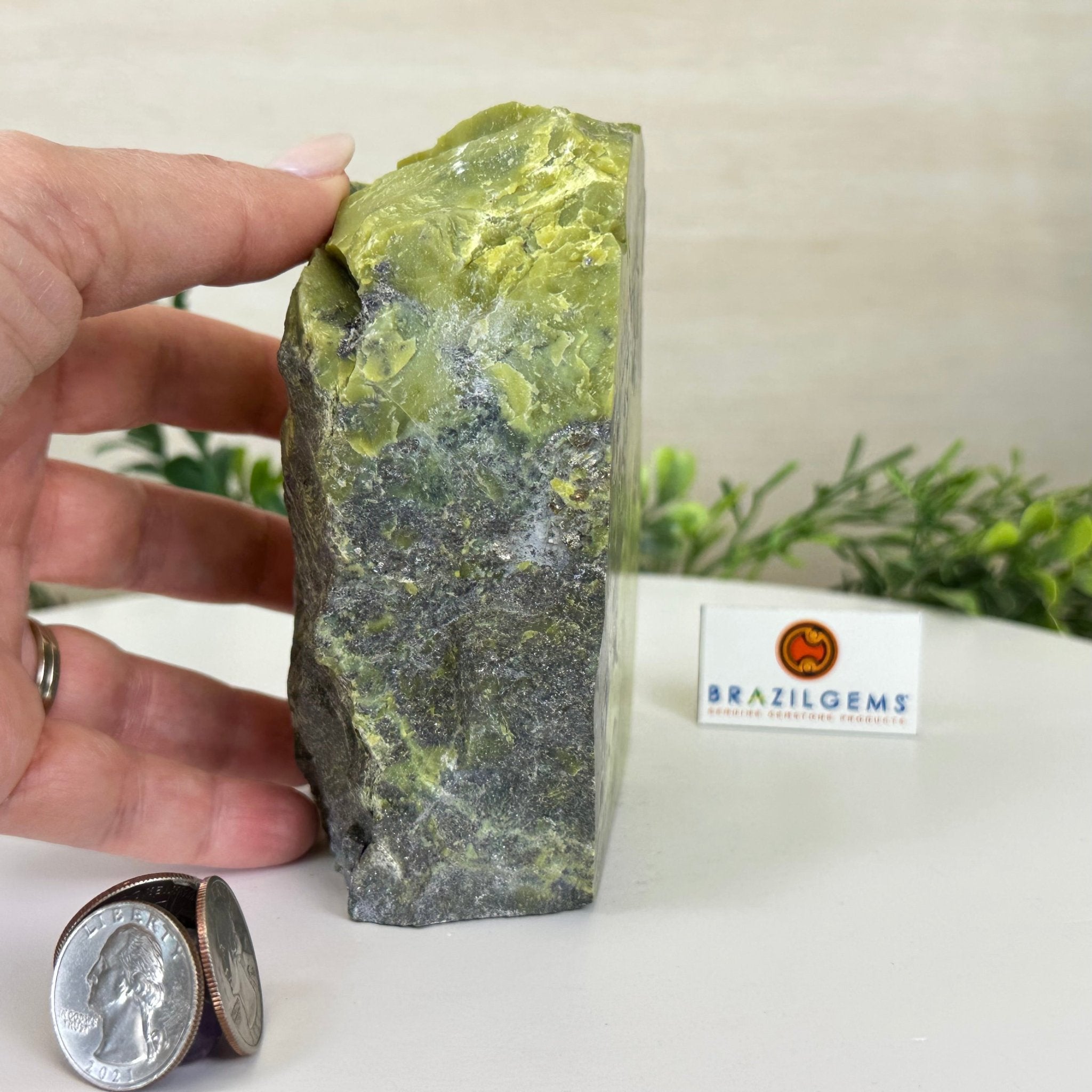 Polished Freeform Serpentine Gemstone, 3.2 lbs & 5” Tall #3303SE - 001 - Brazil GemsBrazil GemsPolished Freeform Serpentine Gemstone, 3.2 lbs & 5” Tall #3303SE - 001Freeform & Unique Shapes3303SE - 001