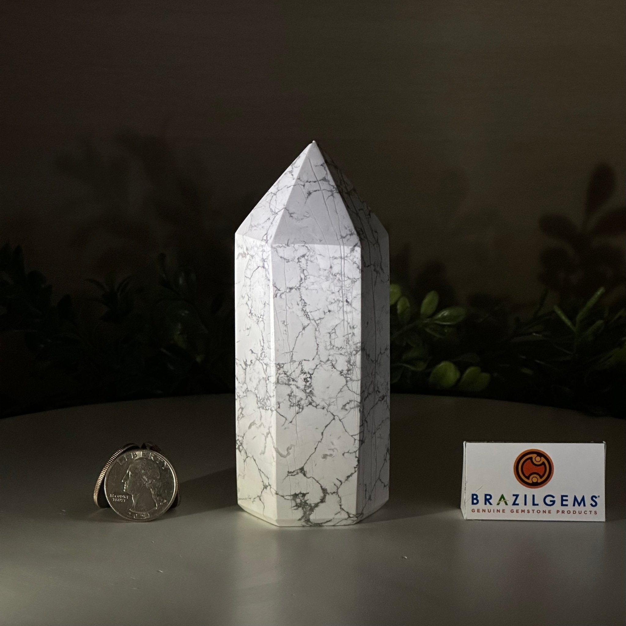 Polished Howlite Crystal Tower 4.9" Tall #3106HW - 004 - Brazil GemsBrazil GemsPolished Howlite Crystal Tower 4.9" Tall #3106HW - 004Crystal Points3106HW - 004