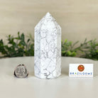 Polished Howlite Crystal Tower 4.9" Tall #3106HW - 004 - Brazil GemsBrazil GemsPolished Howlite Crystal Tower 4.9" Tall #3106HW - 004Crystal Points3106HW - 004