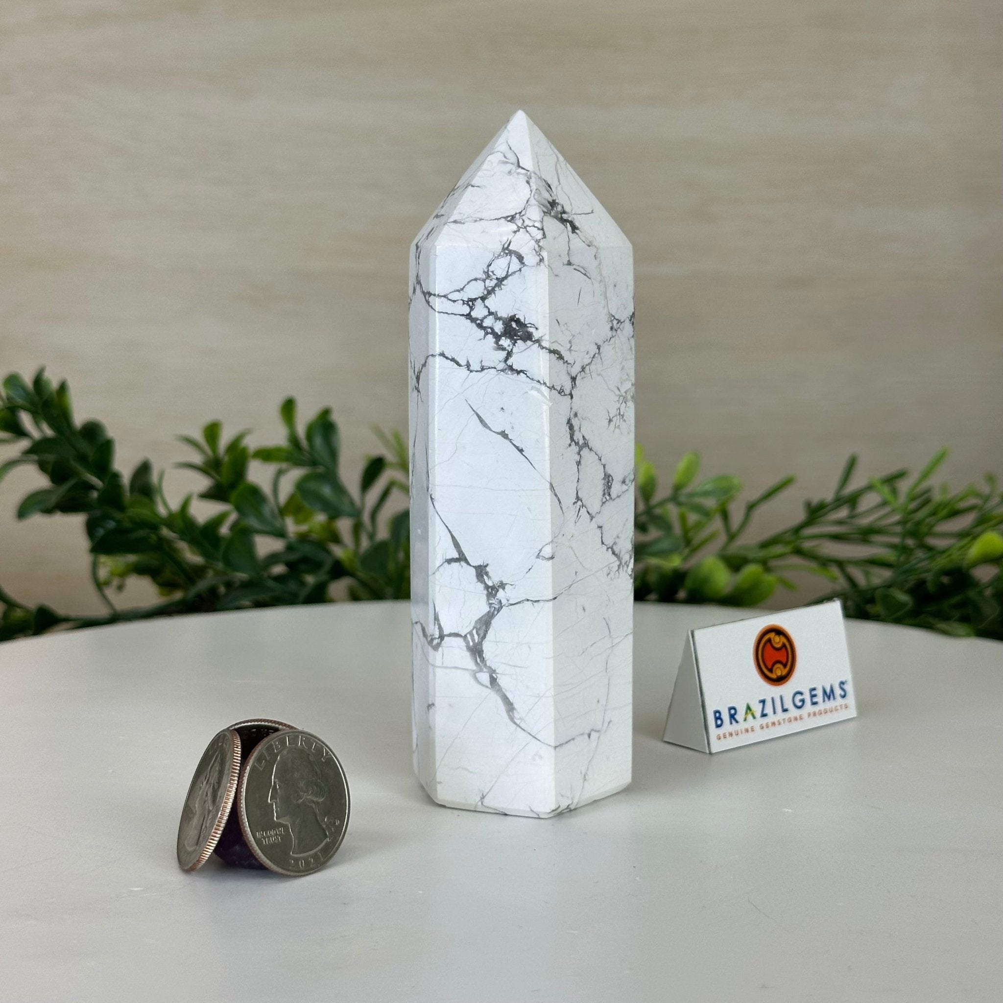 Polished Howlite Crystal Tower 5" Tall #3106HW - 003 - Brazil GemsBrazil GemsPolished Howlite Crystal Tower 5" Tall #3106HW - 003Crystal Points3106HW - 003