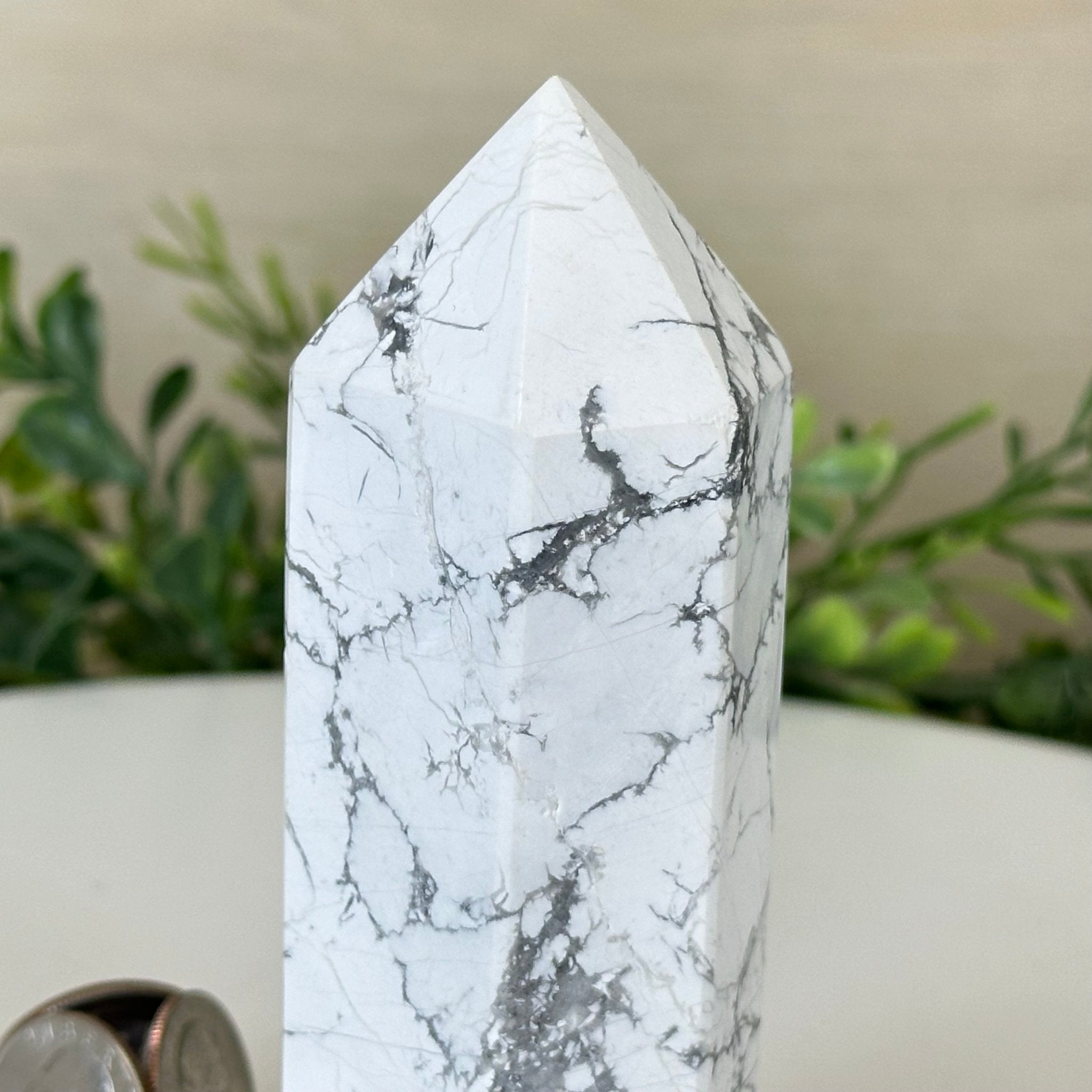 Polished Howlite Crystal Tower 5" Tall #3106HW - 003 - Brazil GemsBrazil GemsPolished Howlite Crystal Tower 5" Tall #3106HW - 003Crystal Points3106HW - 003