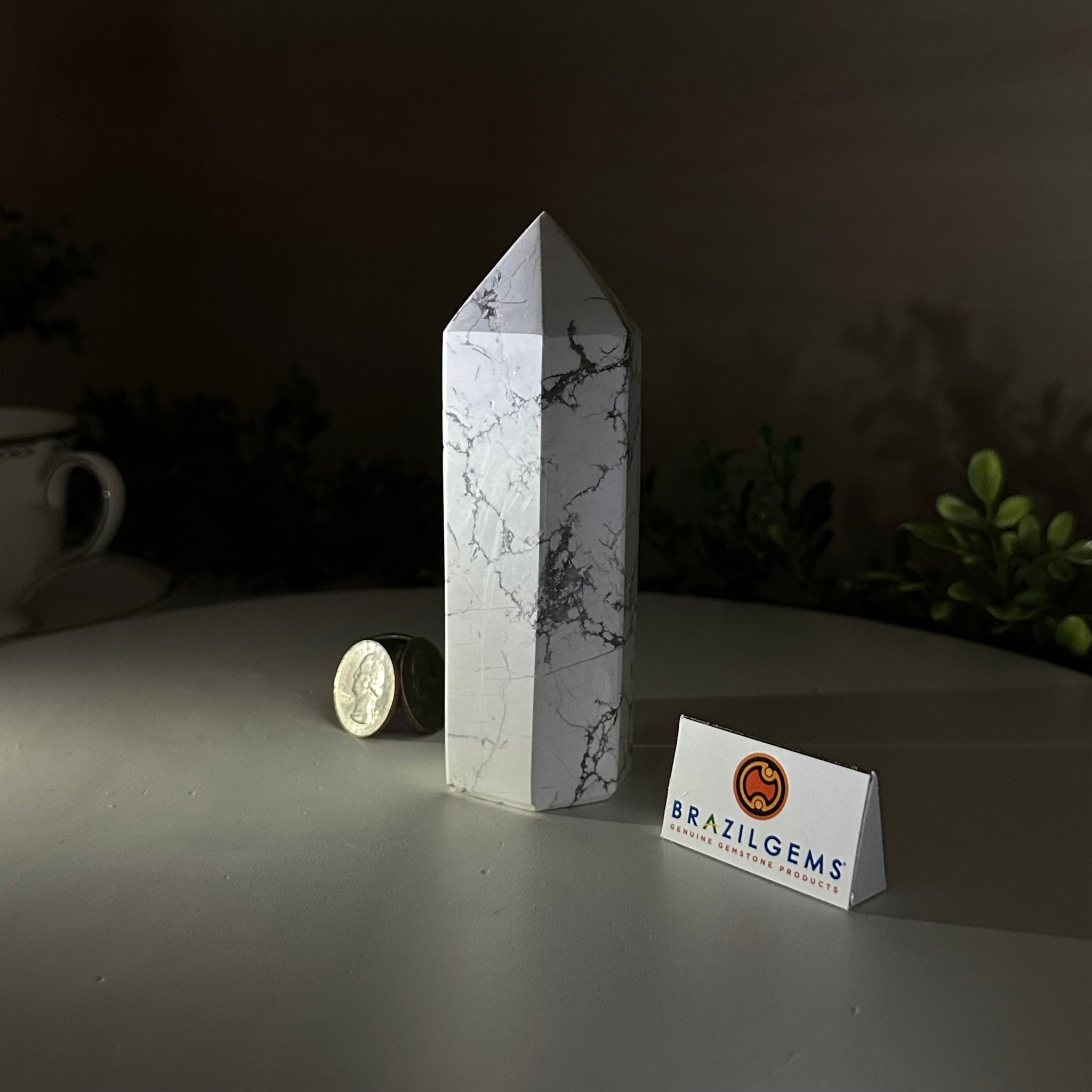 Polished Howlite Crystal Tower 5" Tall #3106HW - 003 - Brazil GemsBrazil GemsPolished Howlite Crystal Tower 5" Tall #3106HW - 003Crystal Points3106HW - 003