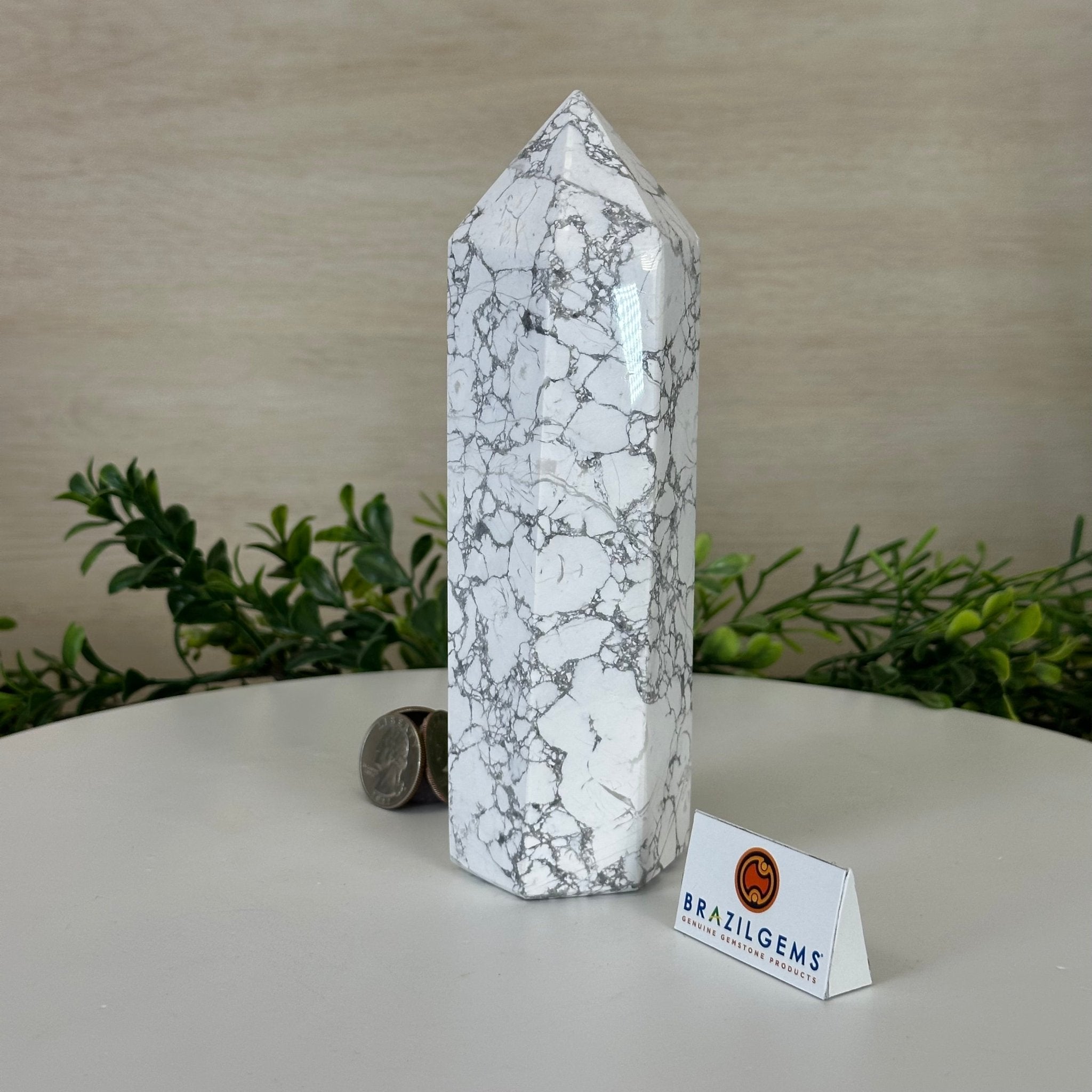Polished Howlite Crystal Tower 6.9" Tall #3106HW - 005 - Brazil GemsBrazil GemsPolished Howlite Crystal Tower 6.9" Tall #3106HW - 005Crystal Points3106HW - 005