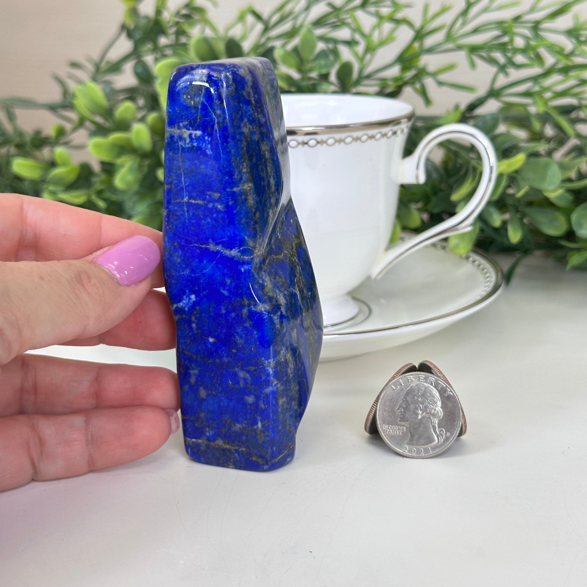 Polished Lapis Lazuli Palm Stone 3488LL - 024 - Brazil GemsBrazil GemsPolished Lapis Lazuli Palm Stone 3488LL - 024Freeform & Unique Shapes3488LL - 024