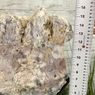 Polished Pink Amethyst Slice on a Stand, 16.8 lbs, 16.2" Tall #5743-0015 by Brazil Gems - Brazil GemsBrazil GemsPolished Pink Amethyst Slice on a Stand, 16.8 lbs, 16.2" Tall #5743-0015 by Brazil GemsSlices on Fixed Bases5743-0015