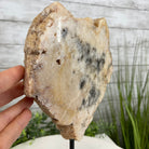 Polished Pink Amethyst Slice on a Stand, 5.2 lbs, 11.9" Tall #5742-0031 by Brazil Gems - Brazil GemsBrazil GemsPolished Pink Amethyst Slice on a Stand, 5.2 lbs, 11.9" Tall #5742-0031 by Brazil GemsSlices on Fixed Bases5742-0031