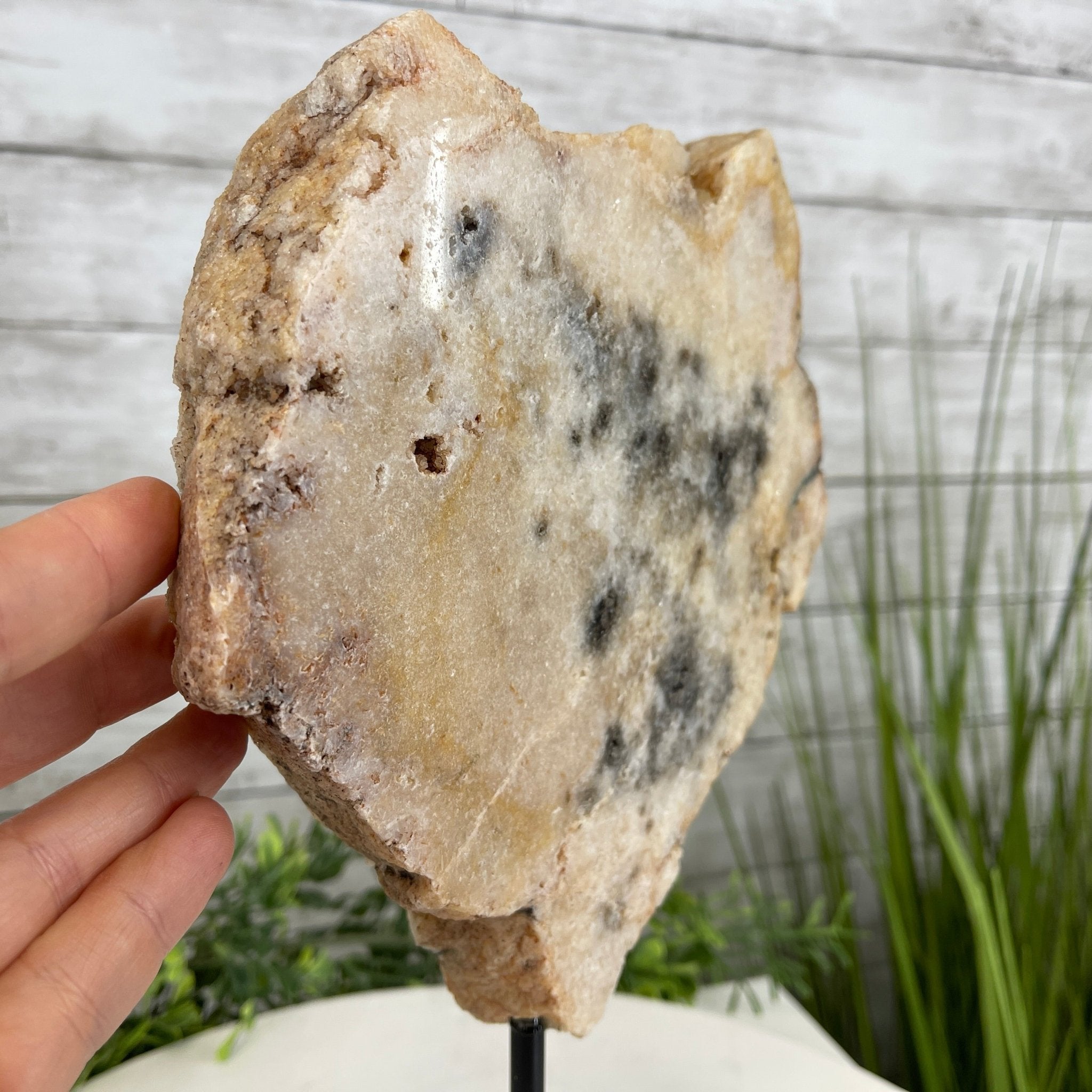 Polished Pink Amethyst Slice on a Stand, 5.2 lbs, 11.9" Tall #5742-0031 by Brazil Gems - Brazil GemsBrazil GemsPolished Pink Amethyst Slice on a Stand, 5.2 lbs, 11.9" Tall #5742-0031 by Brazil GemsSlices on Fixed Bases5742-0031