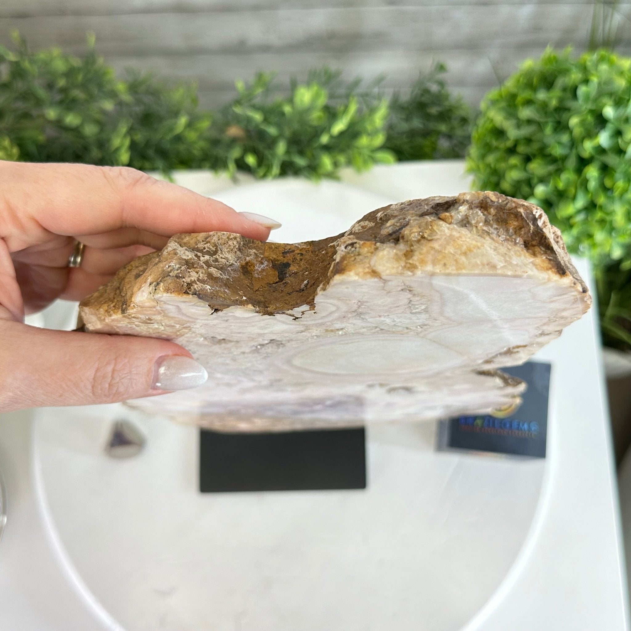 Polished Pink Amethyst Slice on a Stand, 7 lbs & 16.4" Tall #5743-0030 - Brazil GemsBrazil GemsPolished Pink Amethyst Slice on a Stand, 7 lbs & 16.4" Tall #5743-0030Slices on Fixed Bases5743-0030