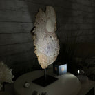 Polished Pink Amethyst Slice on a Stand, 7 lbs & 16.4" Tall #5743-0030 - Brazil GemsBrazil GemsPolished Pink Amethyst Slice on a Stand, 7 lbs & 16.4" Tall #5743-0030Slices on Fixed Bases5743-0030