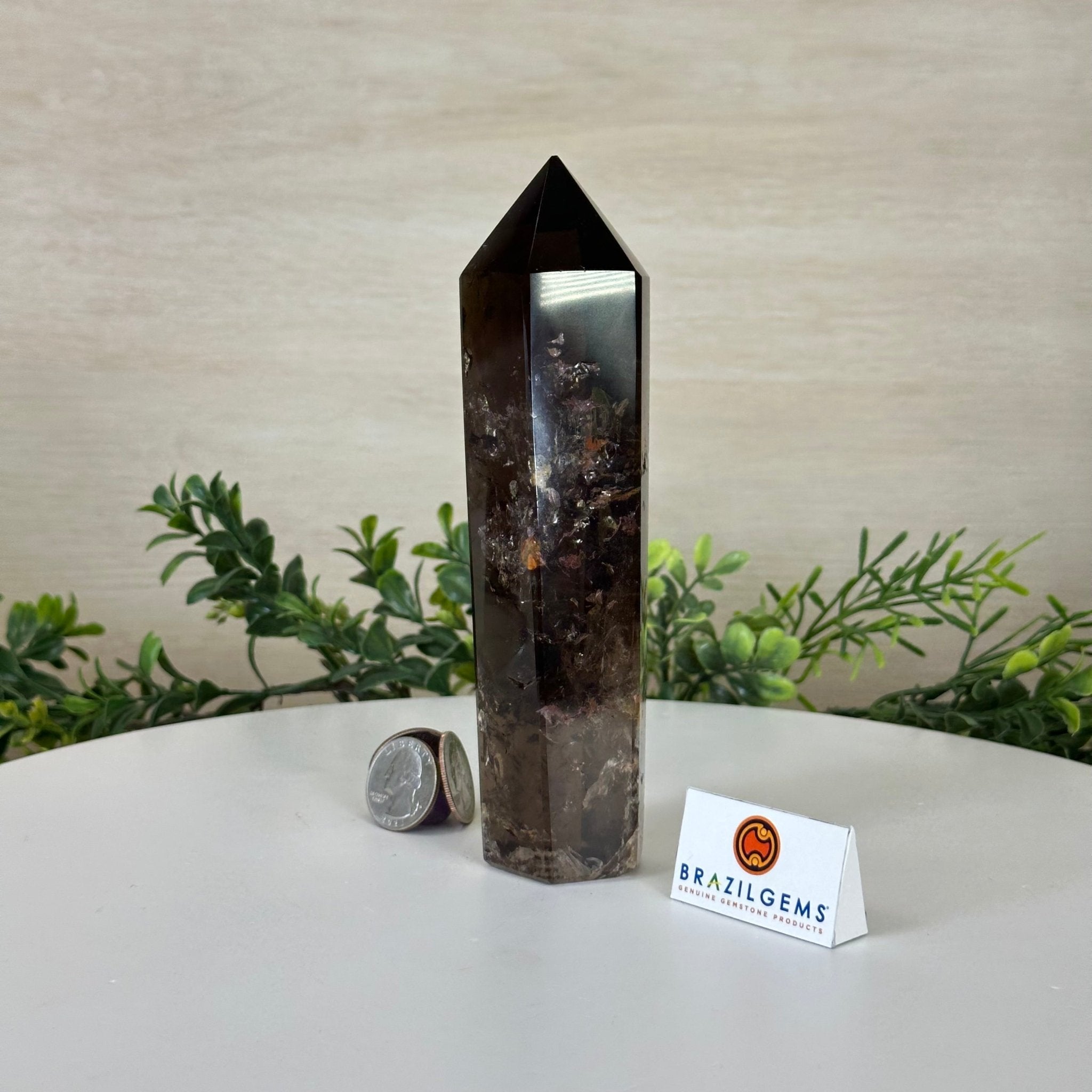 Polished Smoky Quartz Crystal Tower 6.6" Tall #3106SQ - 002 - Brazil GemsBrazil GemsPolished Smoky Quartz Crystal Tower 6.6" Tall #3106SQ - 002Crystal Points3106SQ - 002