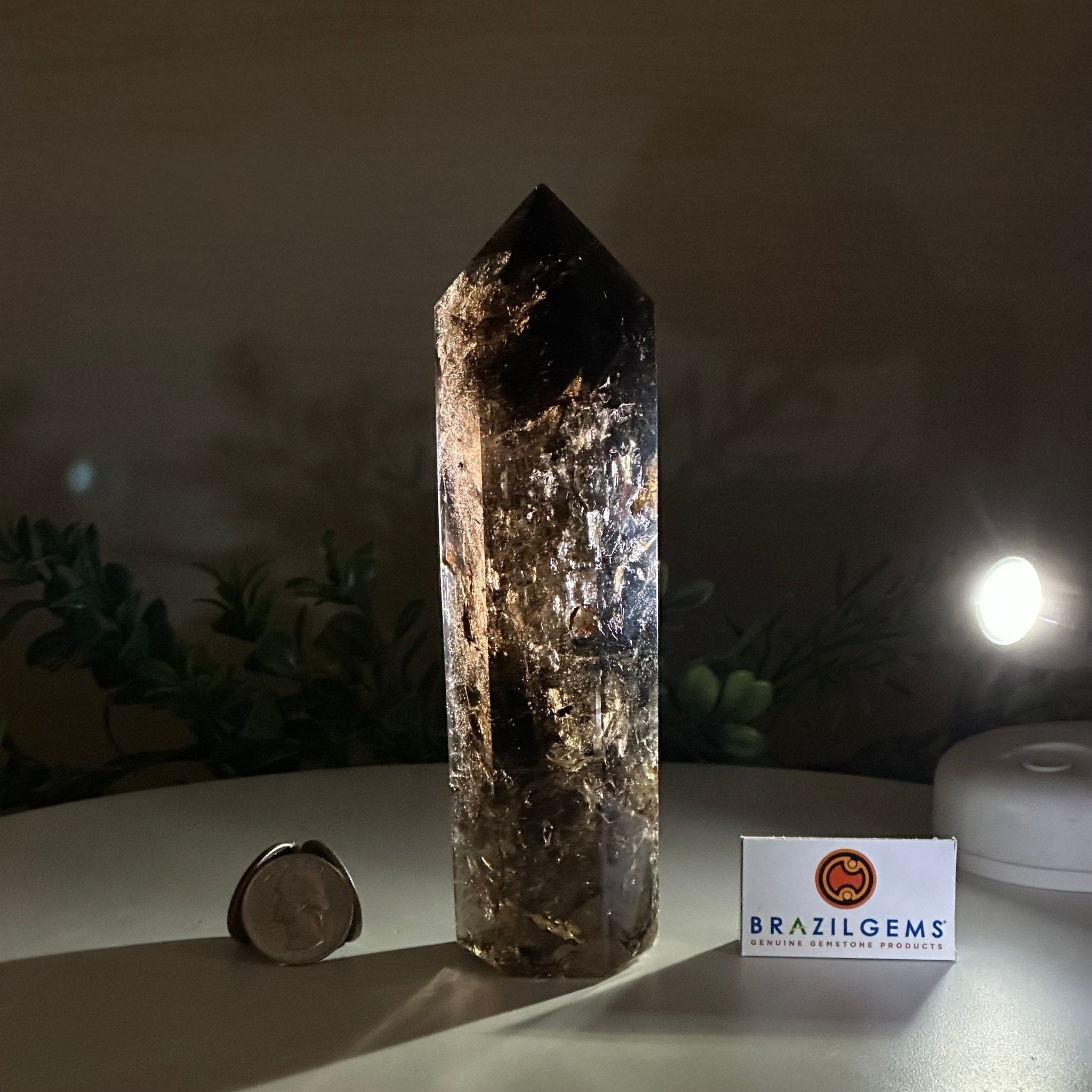 Polished Smoky Quartz Crystal Tower 6.6" Tall #3106SQ - 002 - Brazil GemsBrazil GemsPolished Smoky Quartz Crystal Tower 6.6" Tall #3106SQ - 002Crystal Points3106SQ - 002