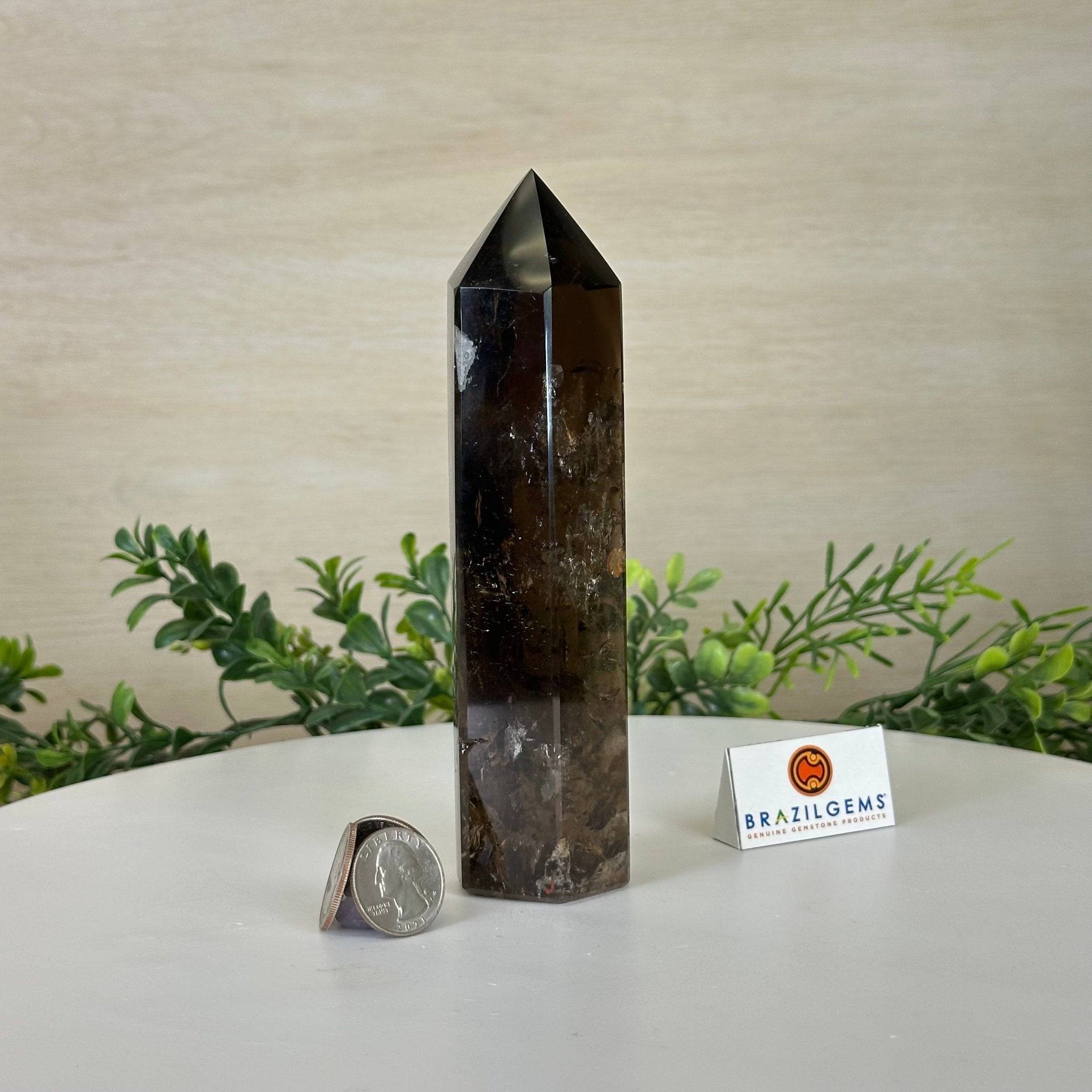 Polished Smoky Quartz Crystal Tower 6.6" Tall #3106SQ - 002 - Brazil GemsBrazil GemsPolished Smoky Quartz Crystal Tower 6.6" Tall #3106SQ - 002Crystal Points3106SQ - 002