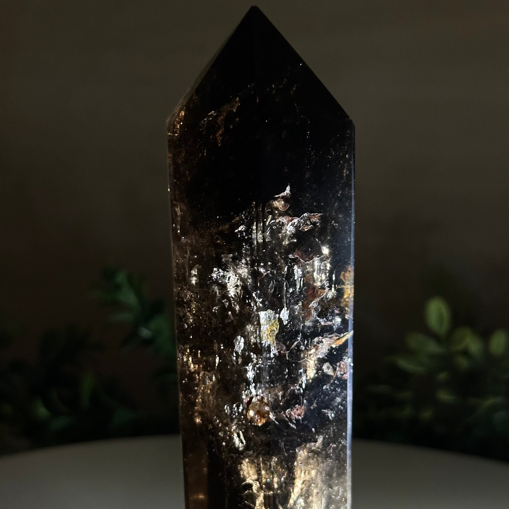 Polished Smoky Quartz Crystal Tower 6.6" Tall #3106SQ - 002 - Brazil GemsBrazil GemsPolished Smoky Quartz Crystal Tower 6.6" Tall #3106SQ - 002Crystal Points3106SQ - 002
